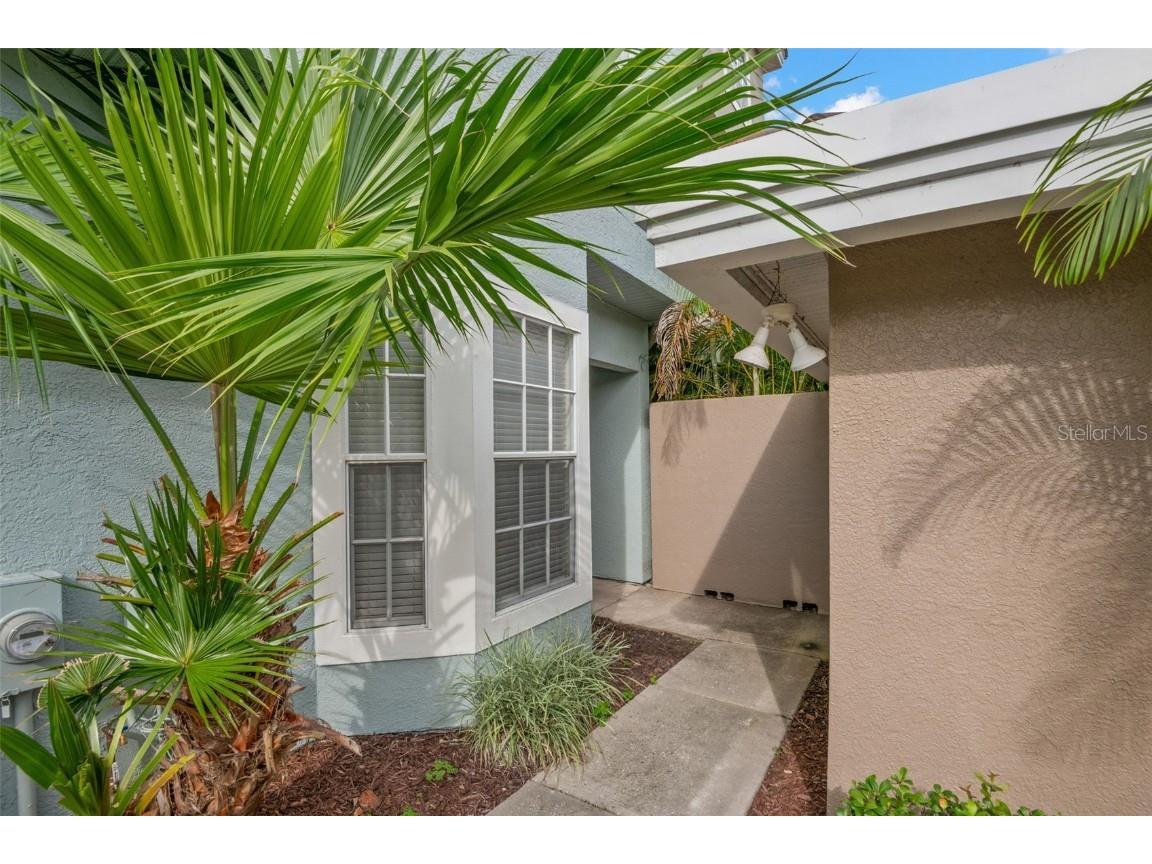 1644 Arabian Lane Palm Harbor FL 34685 TB8423917 image3