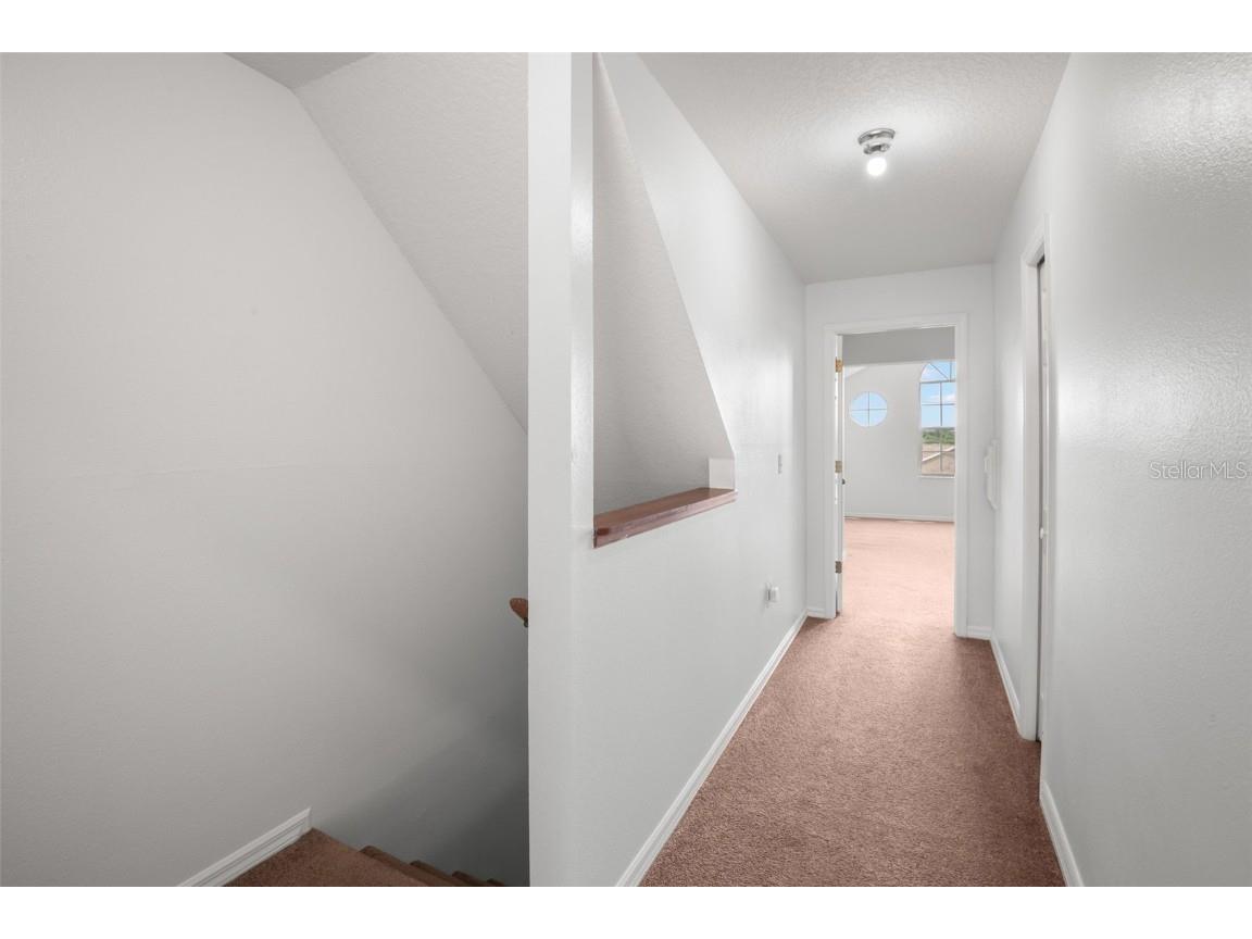 1644 Arabian Lane Palm Harbor FL 34685 TB8423917 image45