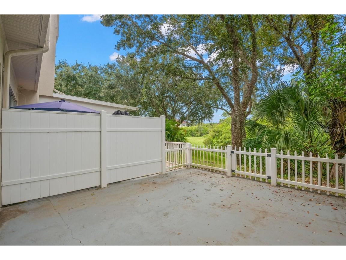 1644 Arabian Lane Palm Harbor FL 34685 TB8423917 image5