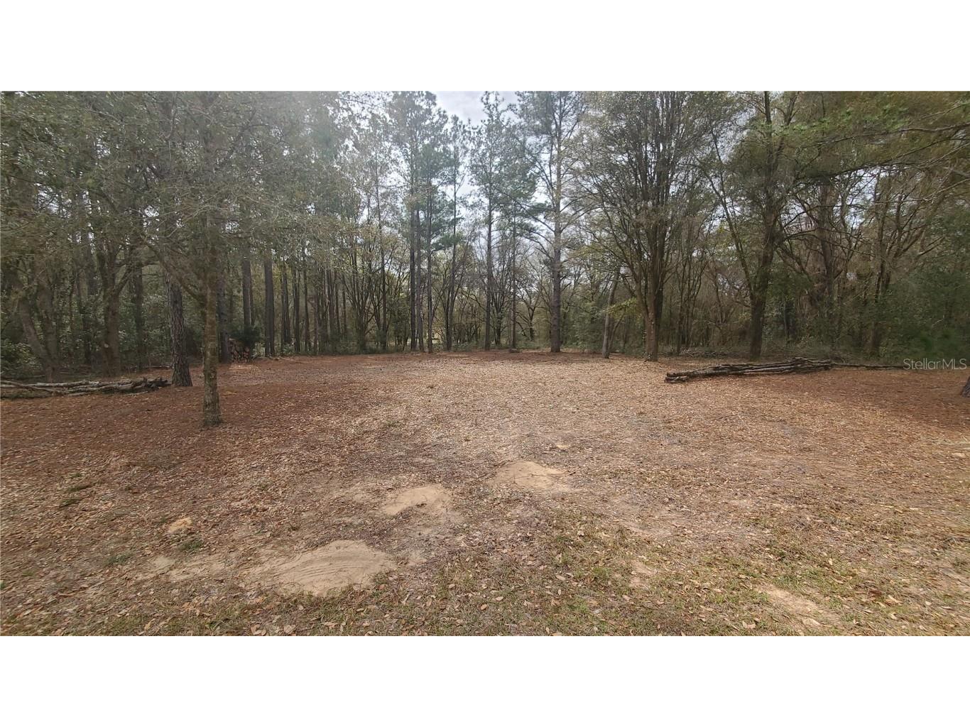 1644 E Carson Road Citrus Springs FL 34434 OM674234 image1