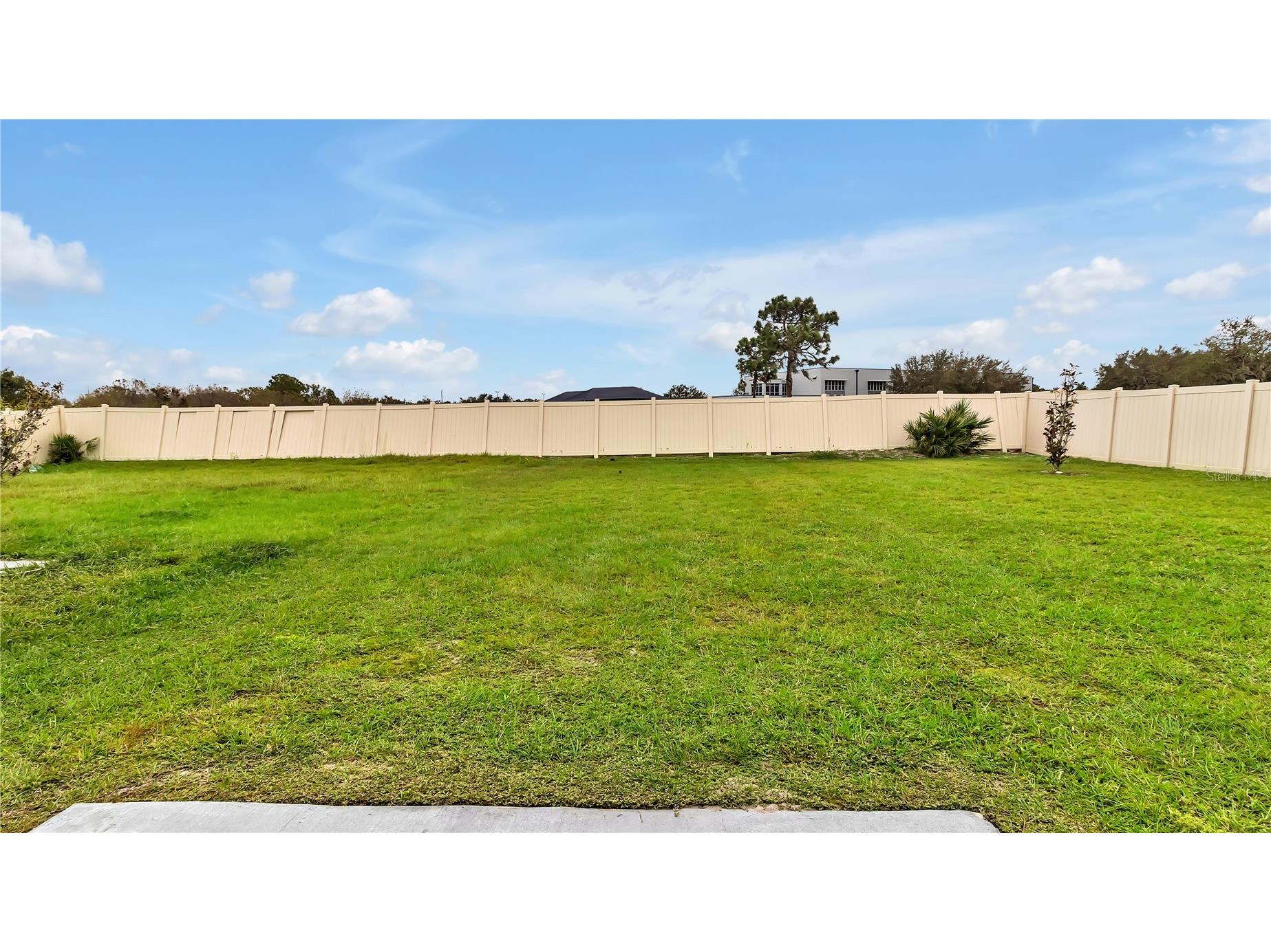 16441 Little Garden Drive Wimauma FL 33598 TB8498478 image21