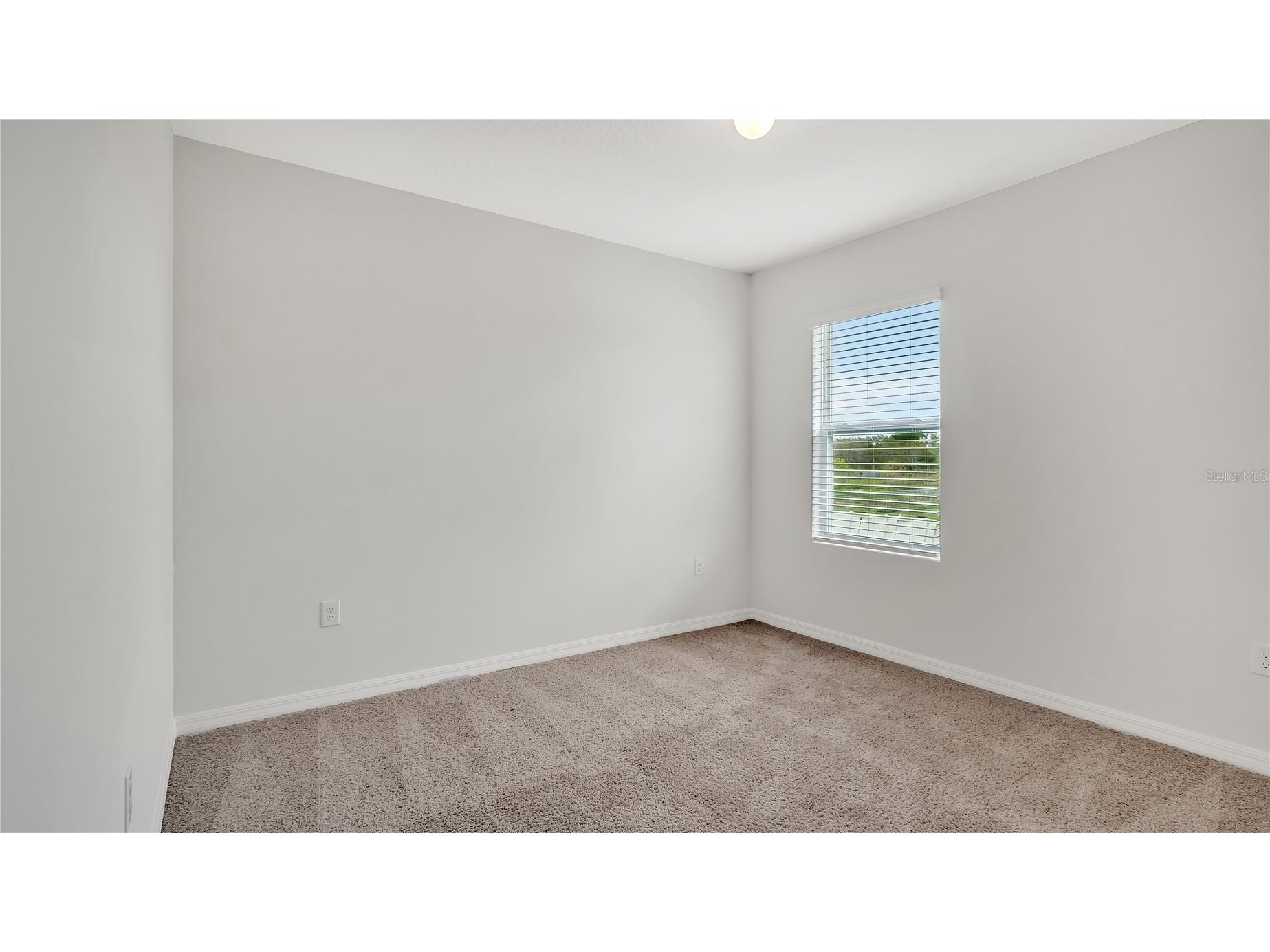 16441 Little Garden Drive Wimauma FL 33598 TB8498478 image36