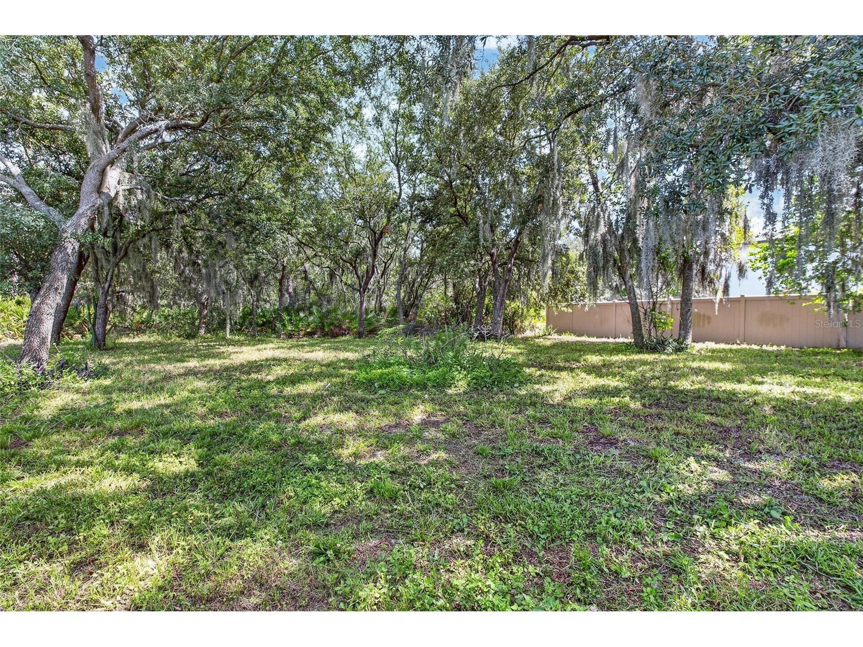 16441 Treasure Point Drive Wimauma FL 33598 TB8529377 image40