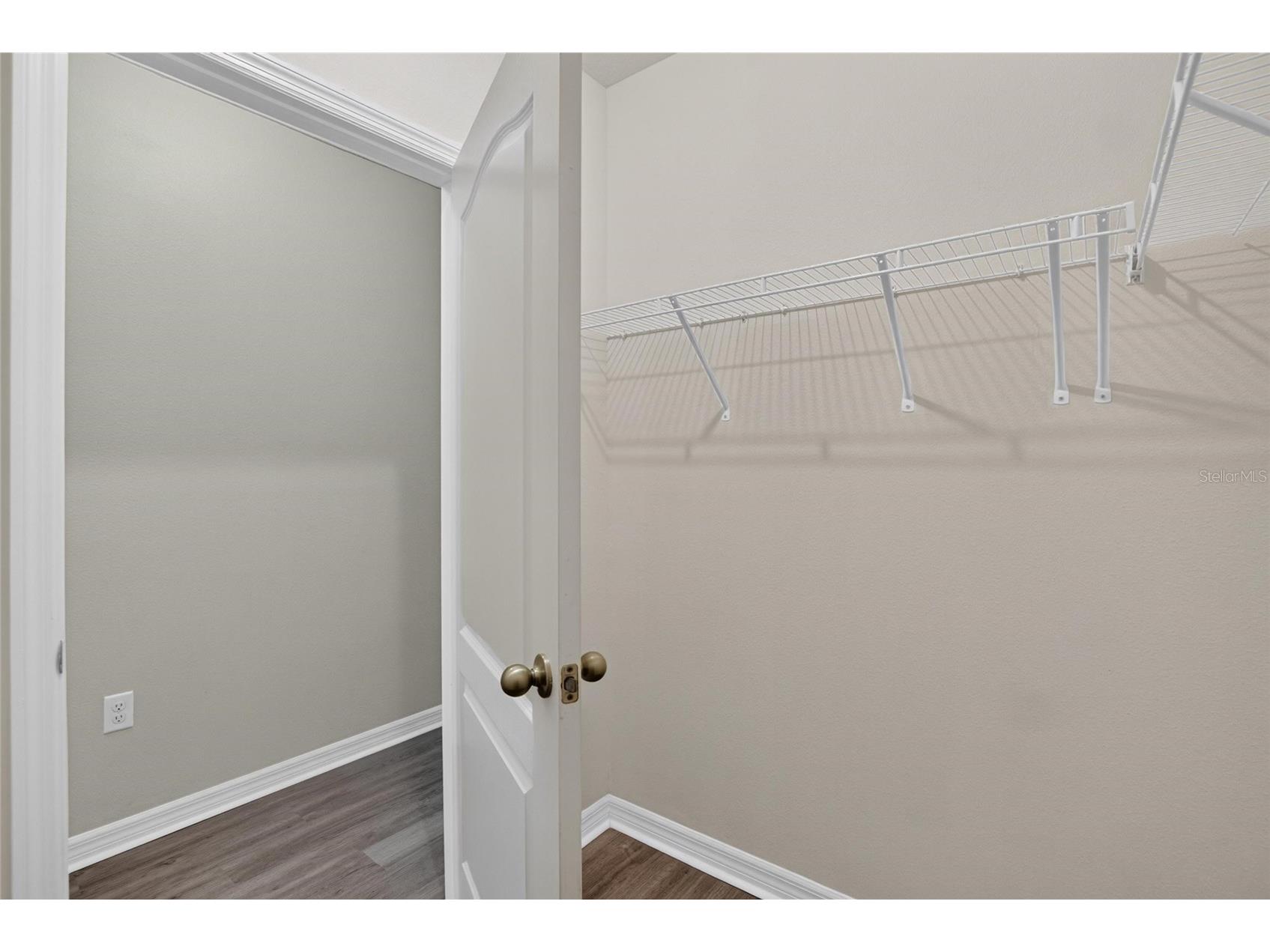 16441 Treasure Point Drive Wimauma FL 33598 TB8529377 image45