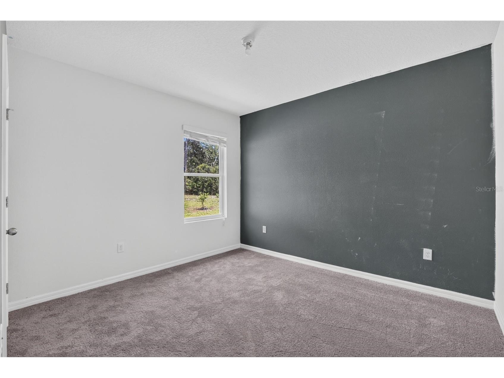 16441 Treasure Point Drive Wimauma FL 33598 TB8529377 image53