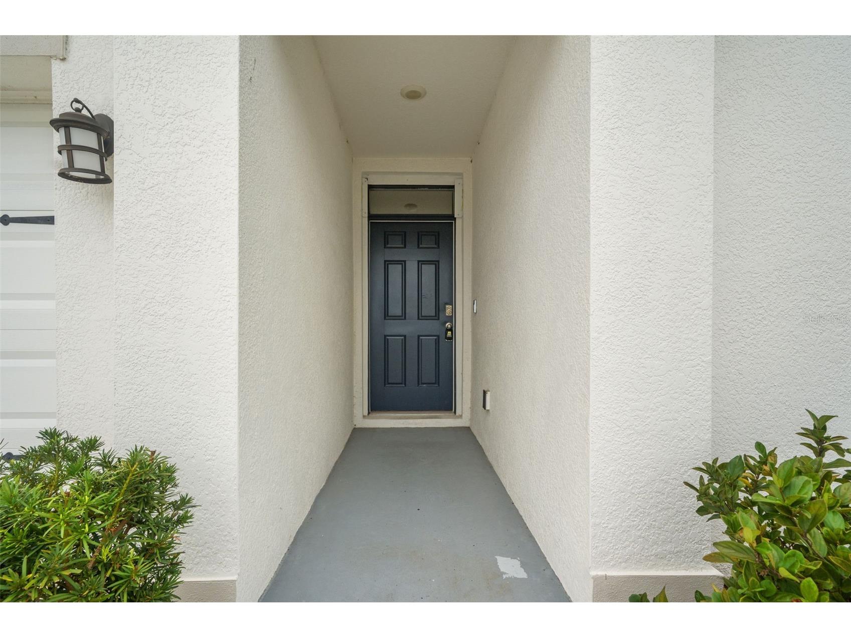 16443 Little Garden Drive Wimauma FL 33598 A4695426 image19