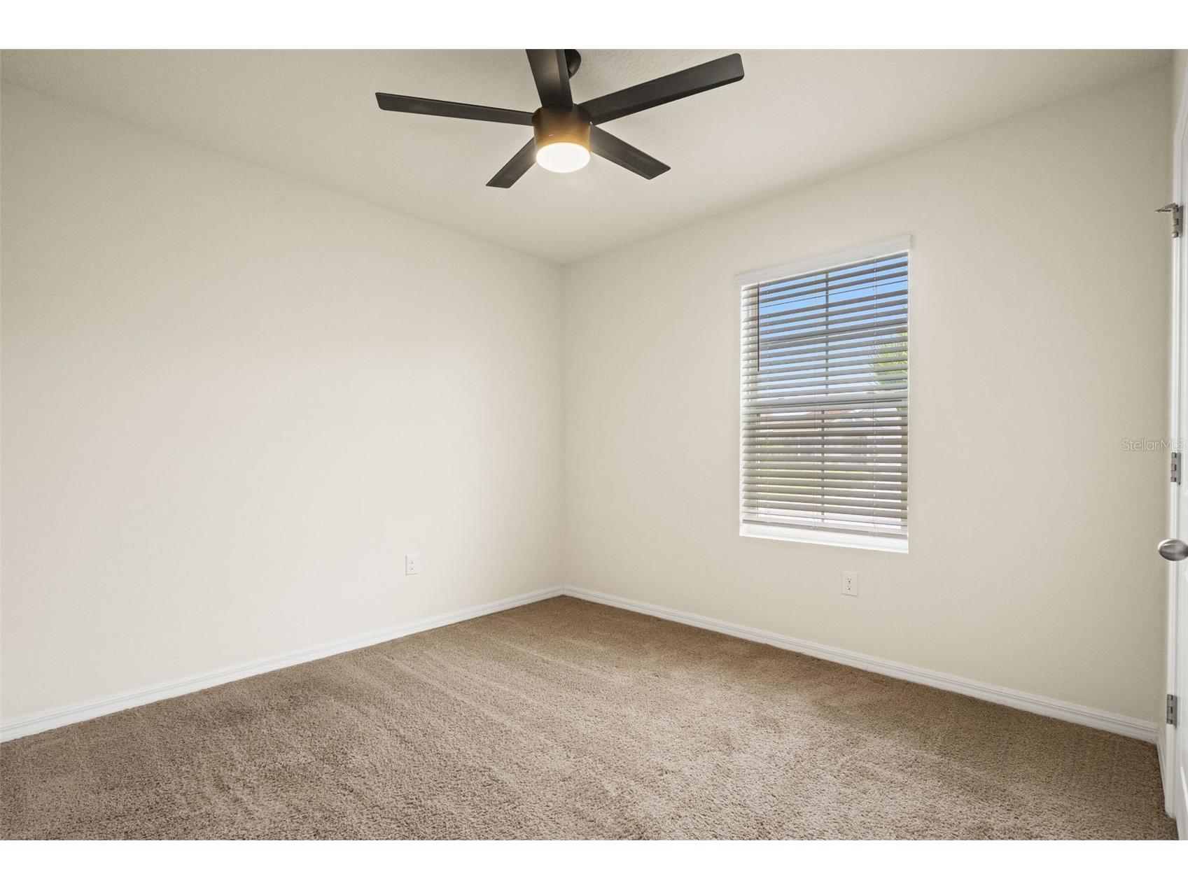 16443 Little Garden Drive Wimauma FL 33598 A4695426 image22