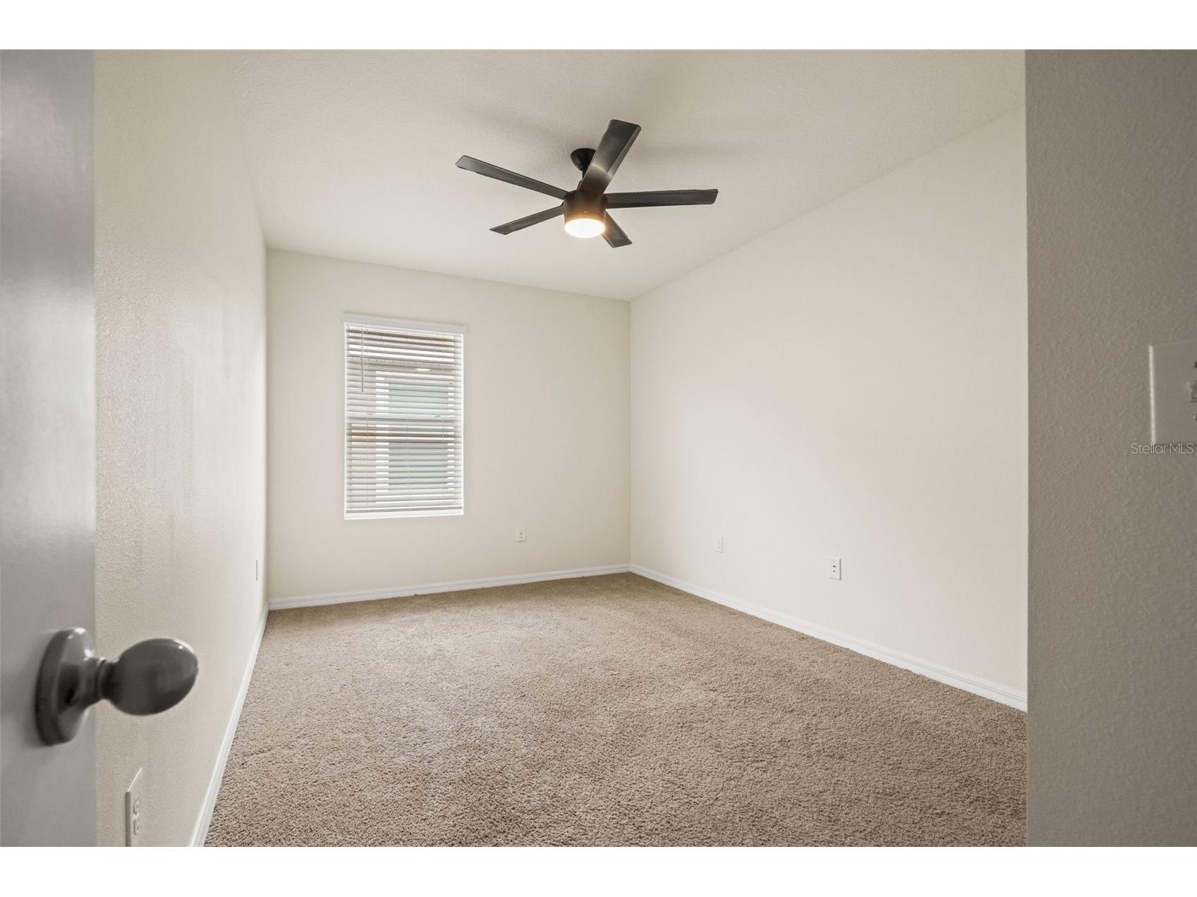 16443 Little Garden Drive Wimauma FL 33598 A4695426 image26