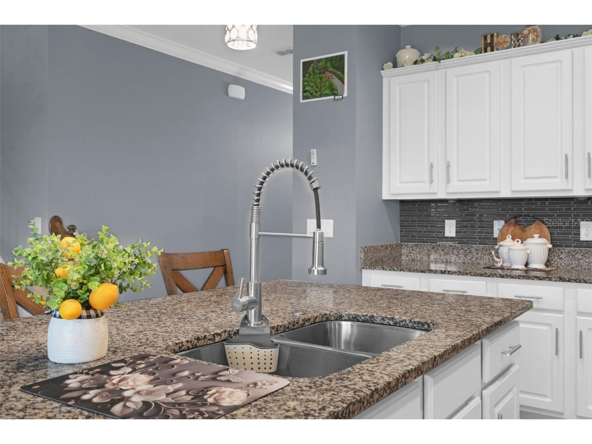 16448 Centipede Street Clermont FL 34714 O6335261 image12