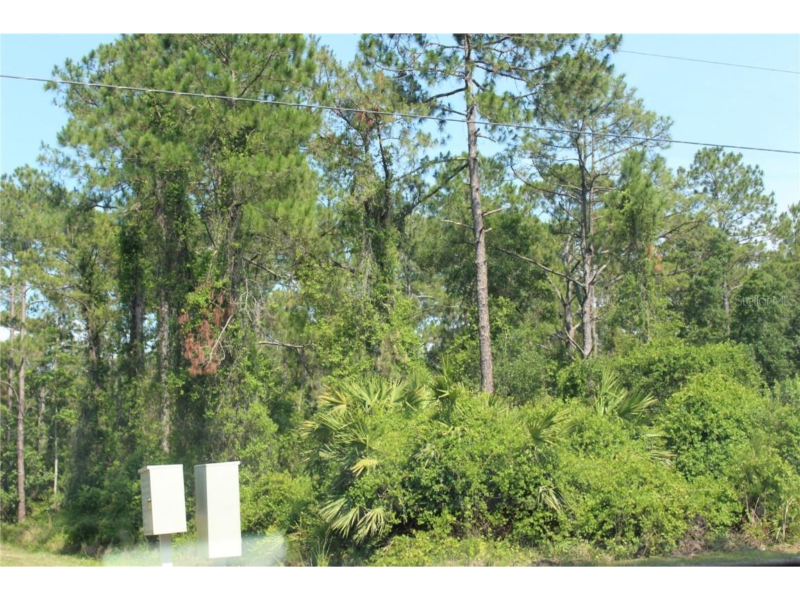 1645 11th Avenue Deland FL 32724 S5087280 image1