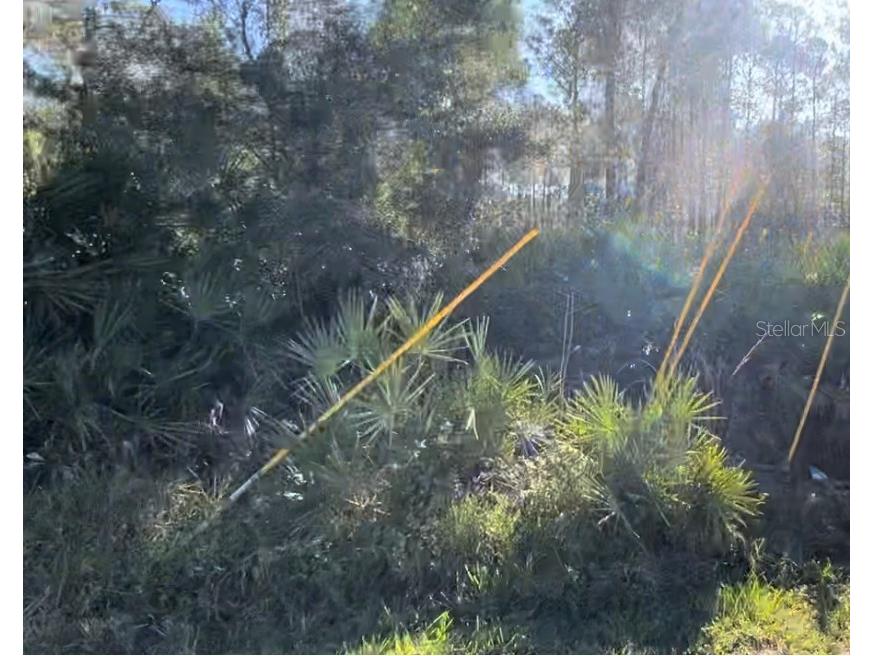 1645 11th Avenue Deland FL 32724 O6314154 image1