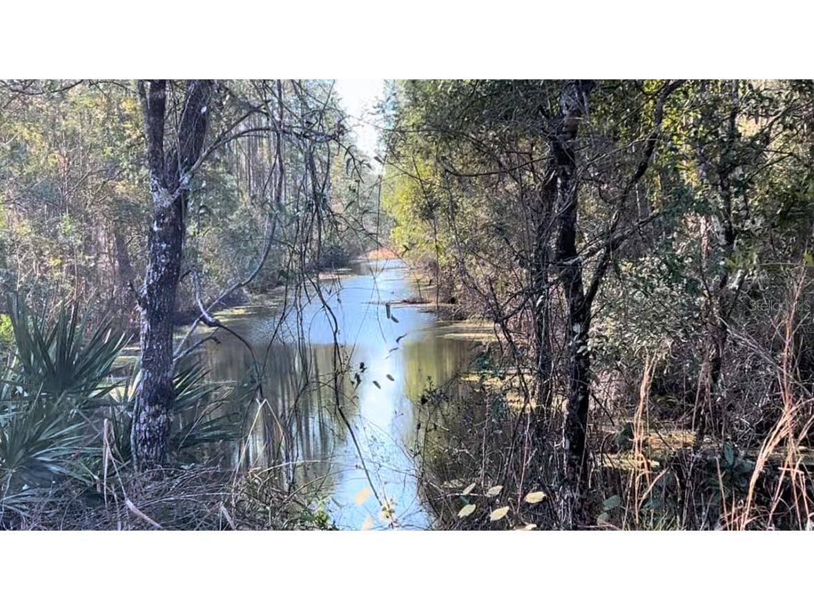 1645 11th Avenue Deland FL 32724 O6314154 image2