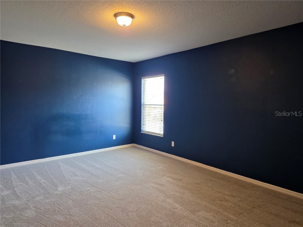 1645 Algonkin Loop Orlando FL 32828 O6366459 image31