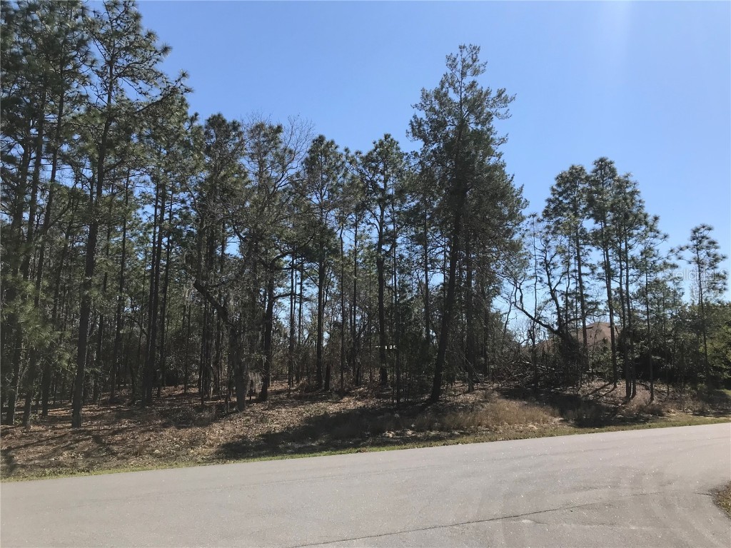 1645 Cr 243b Lot #151 Wildwood FL 34785 G5078849 image1