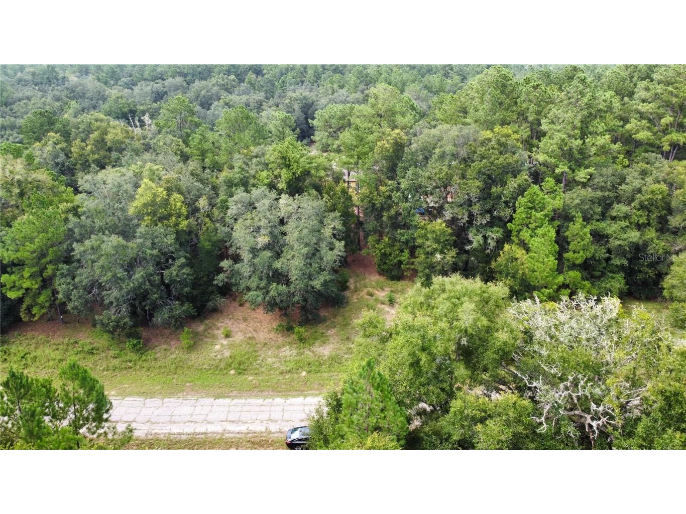 1645 E Ivydale Drive Citrus Springs FL 34434 OM683582 image1