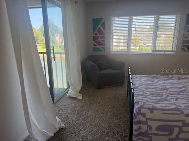 1645 Spoonbill Lane #C Naples FL 34105 O6413169 image33