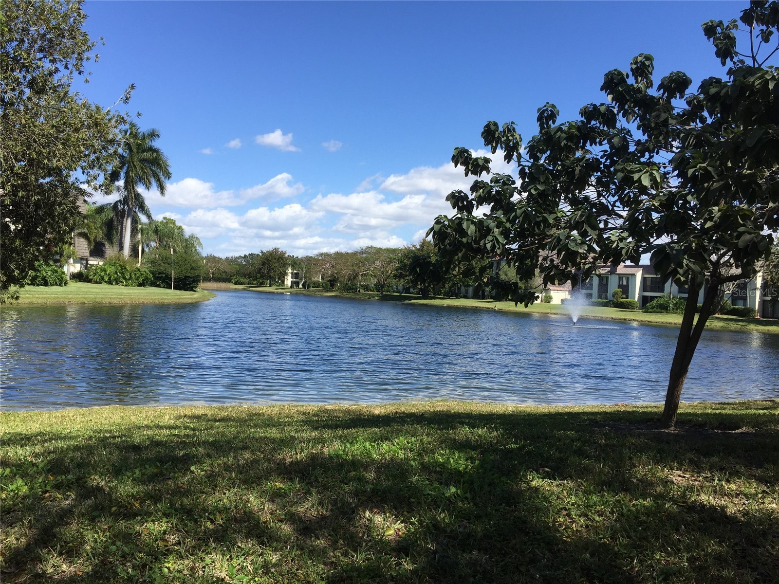 1645 Spoonbill Lane #C Naples FL 34105 O6413169 image40