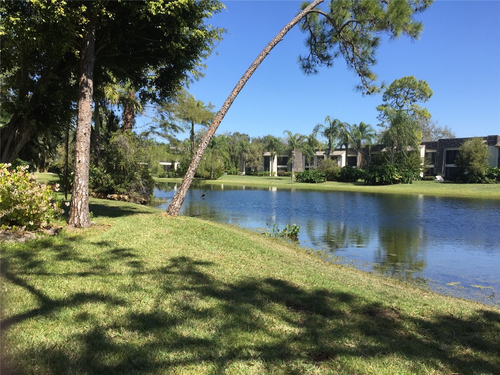 1645 Spoonbill Lane #C Naples FL 34105 O6413169 image42