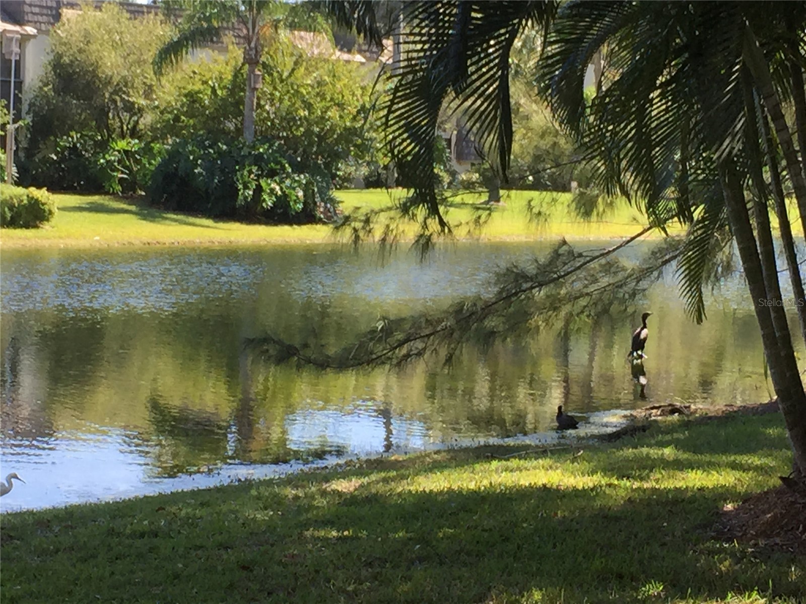 1645 Spoonbill Lane #C Naples FL 34105 O6413169 image43