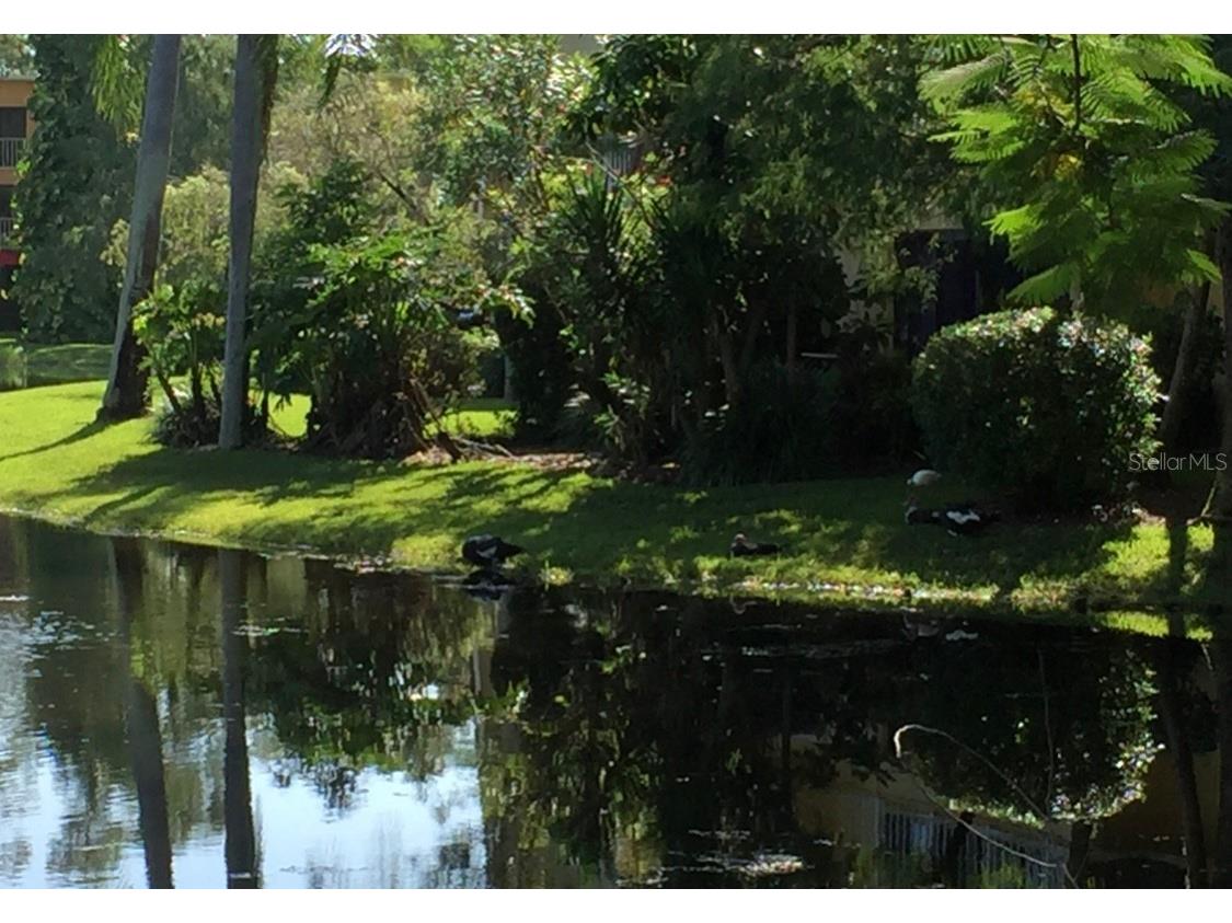 1645 Spoonbill Lane #C Naples FL 34105 O6413169 image48