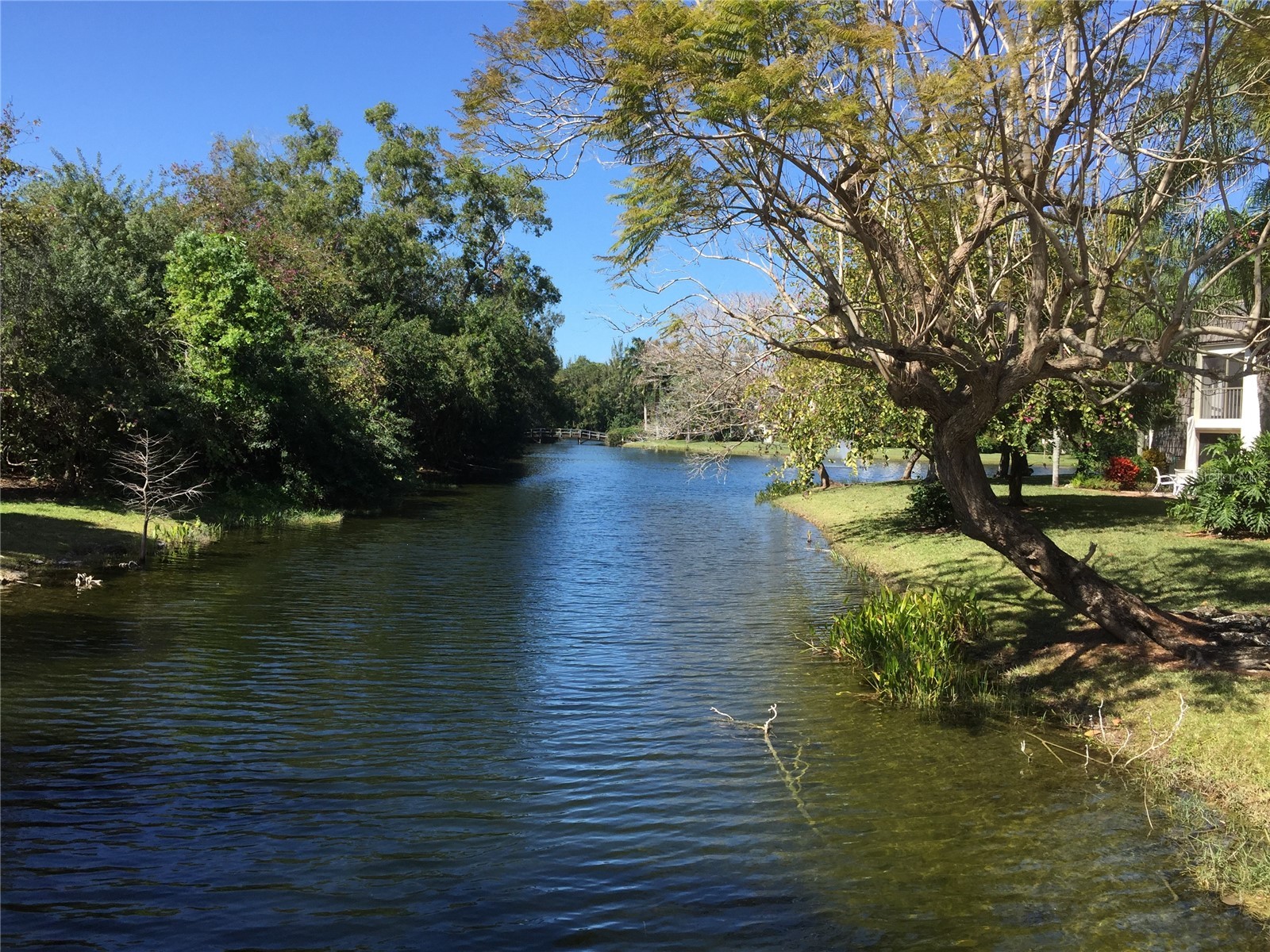 1645 Spoonbill Lane #C Naples FL 34105 O6413215 image51