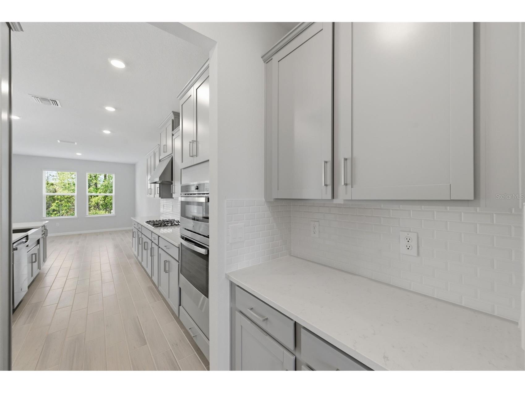 1645 Trailhead Lane Zephyrhills FL 33541 TB8493948 image40