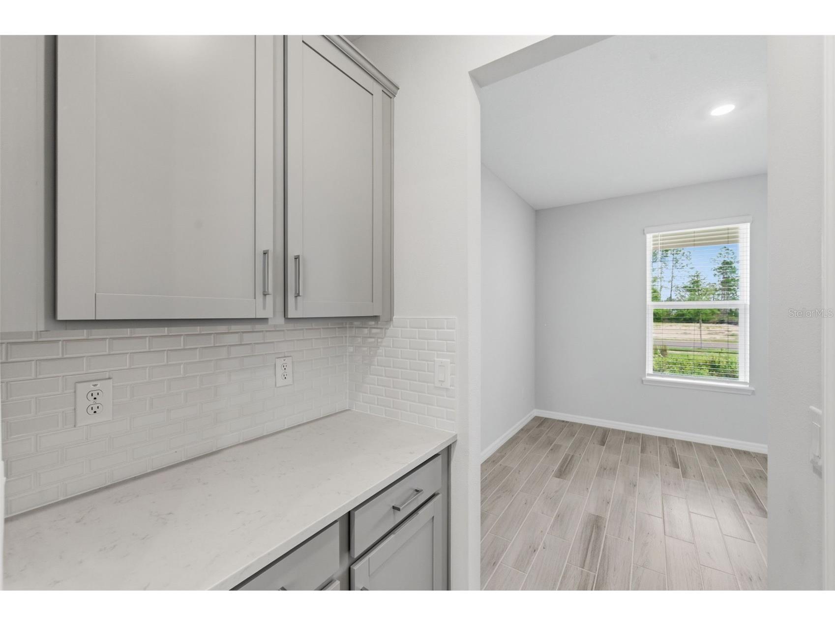 1645 Trailhead Lane Zephyrhills FL 33541 TB8493948 image41