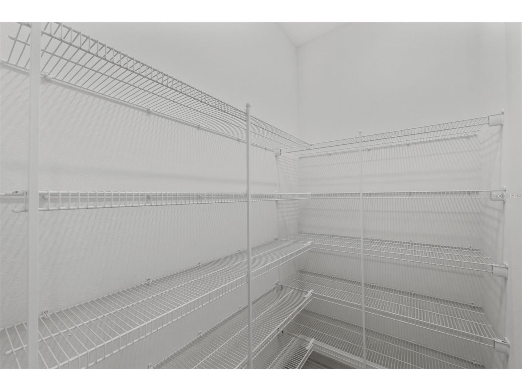 1645 Trailhead Lane Zephyrhills FL 33541 TB8493948 image42