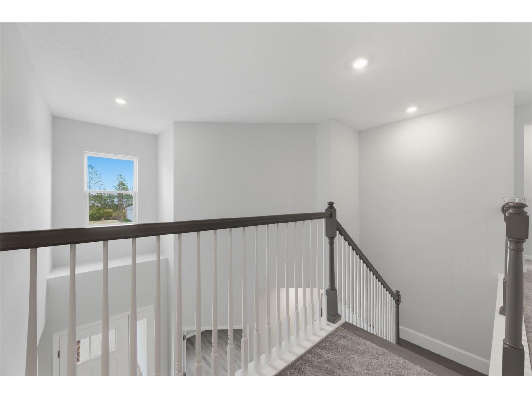 1645 Trailhead Lane Zephyrhills FL 33541 TB8493948 image43