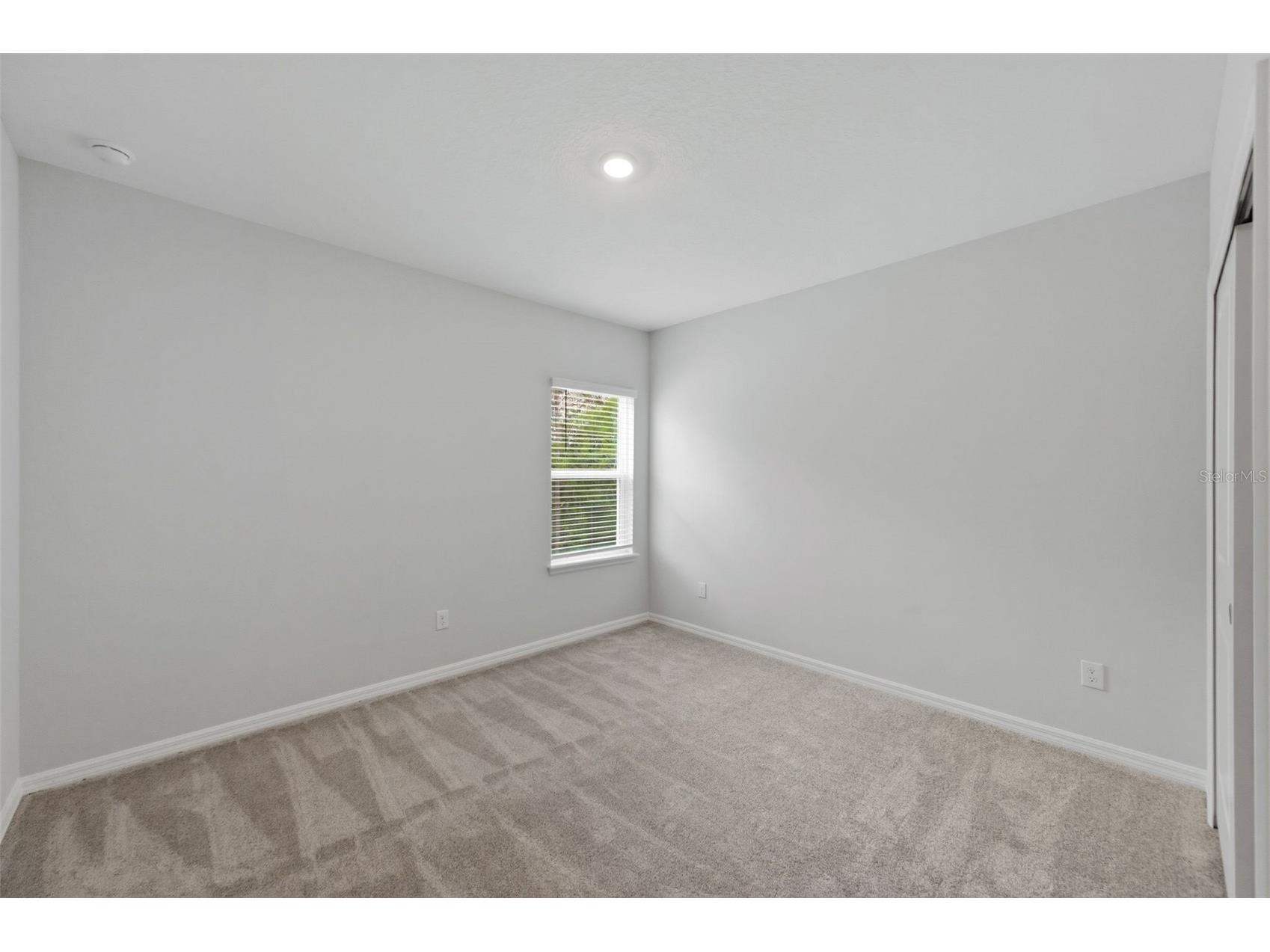 1645 Trailhead Lane Zephyrhills FL 33541 TB8493948 image49