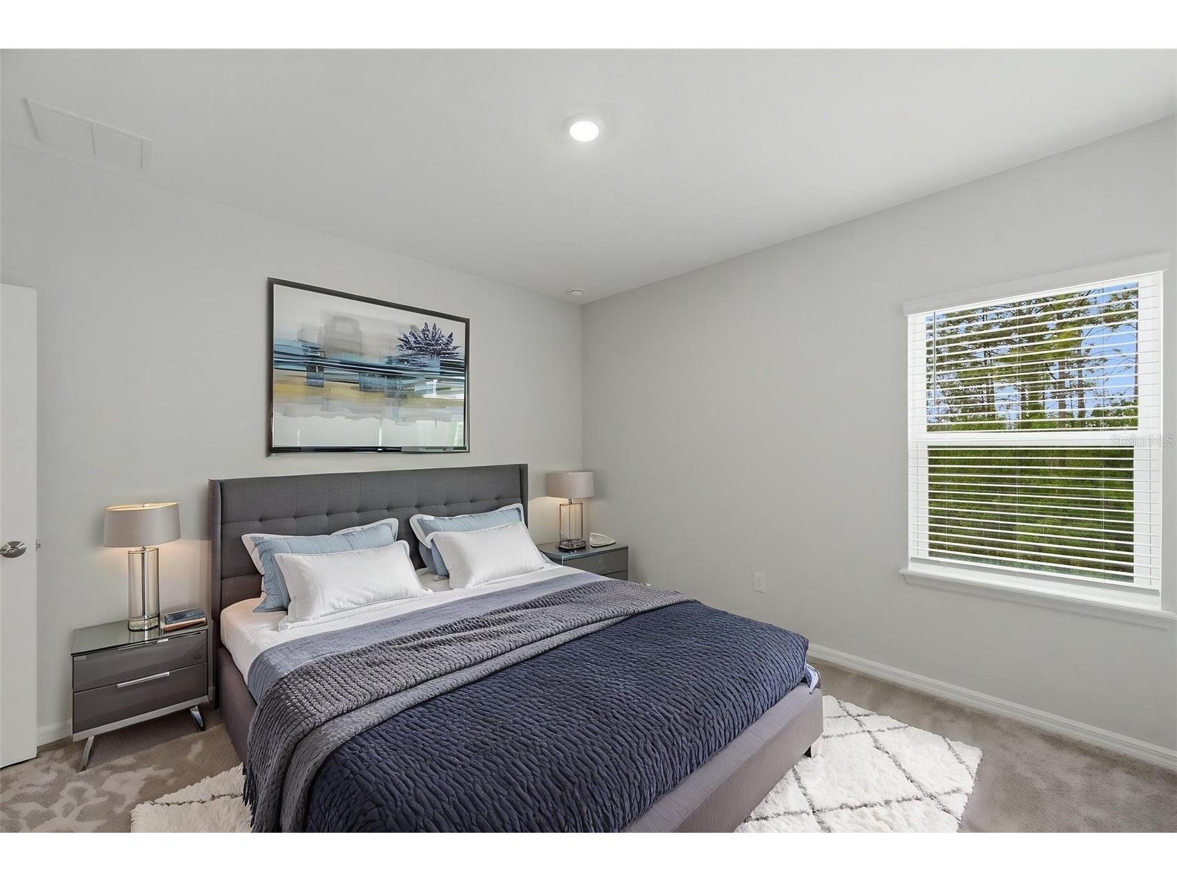 1645 Trailhead Lane Zephyrhills FL 33541 TB8493948 image51