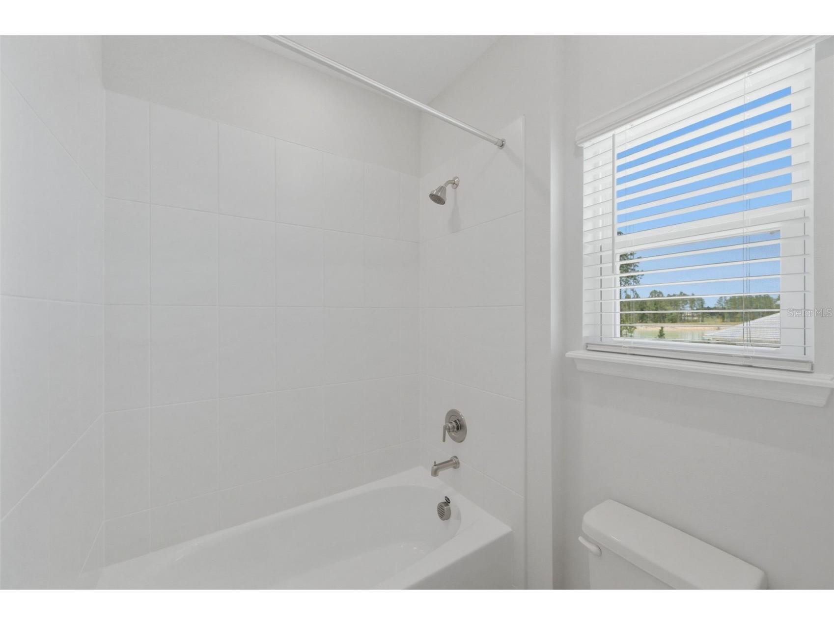 1645 Trailhead Lane Zephyrhills FL 33541 TB8493948 image53