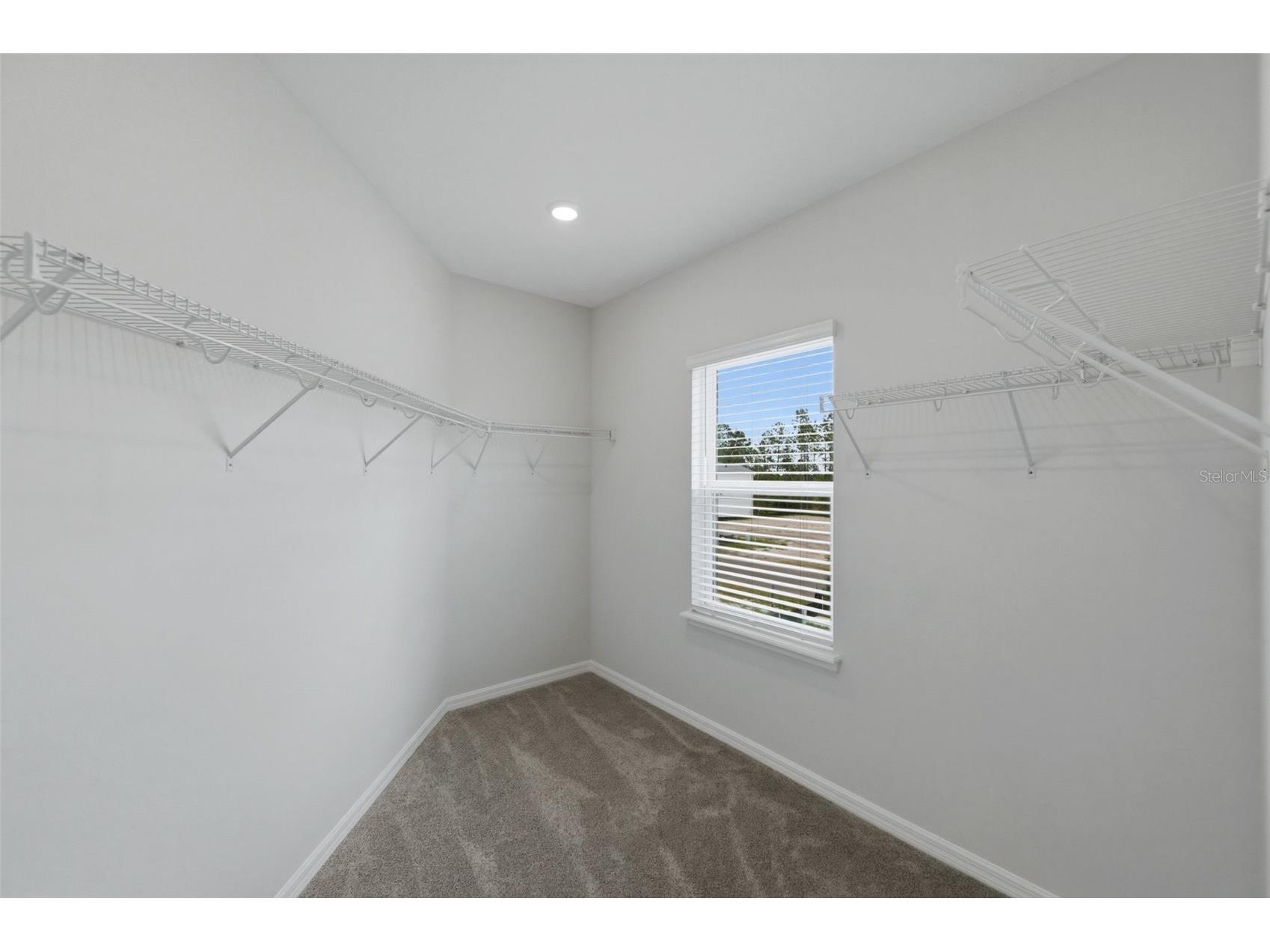 1645 Trailhead Lane Zephyrhills FL 33541 TB8493948 image60