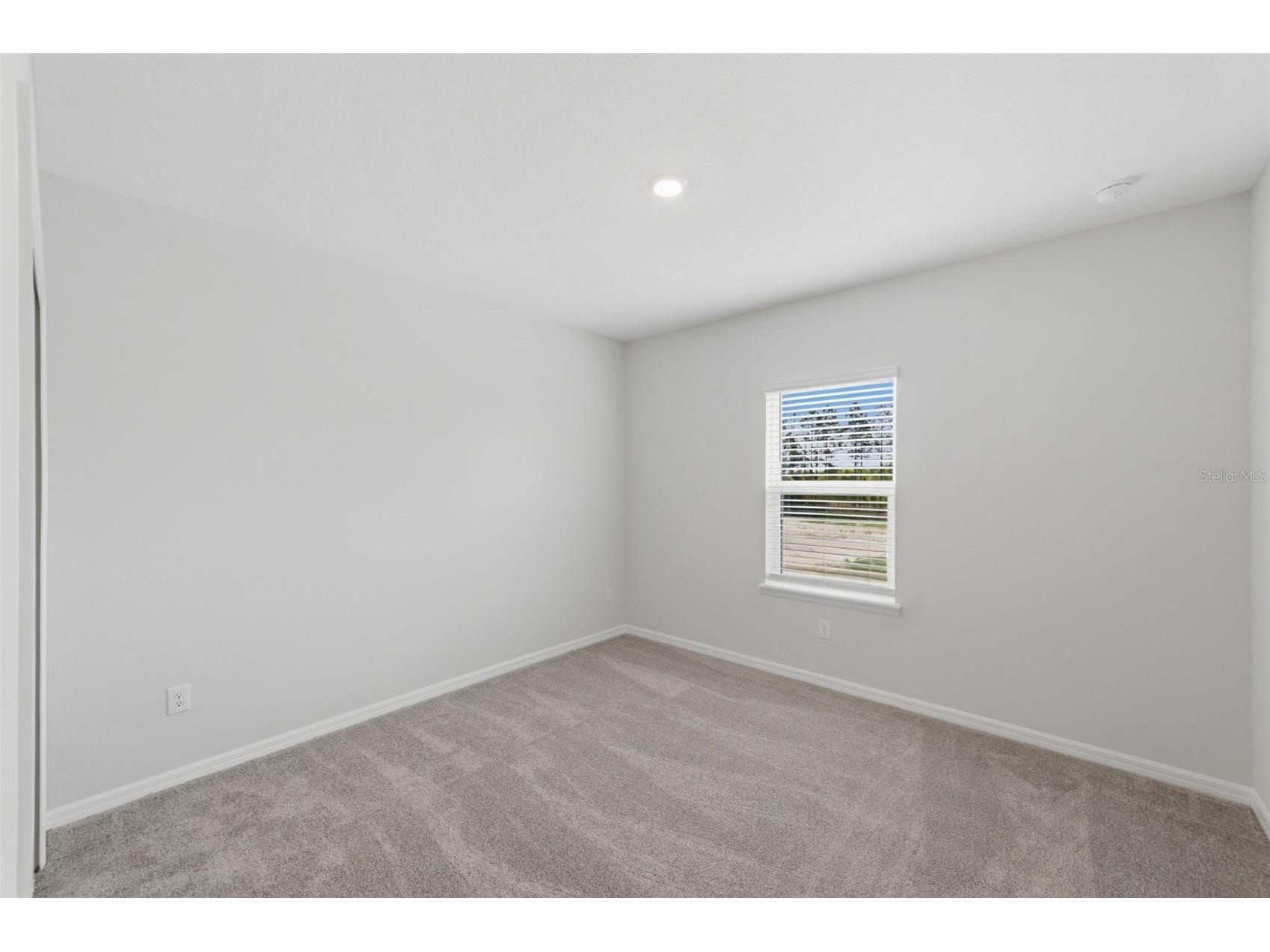 1645 Trailhead Lane Zephyrhills FL 33541 TB8493948 image65