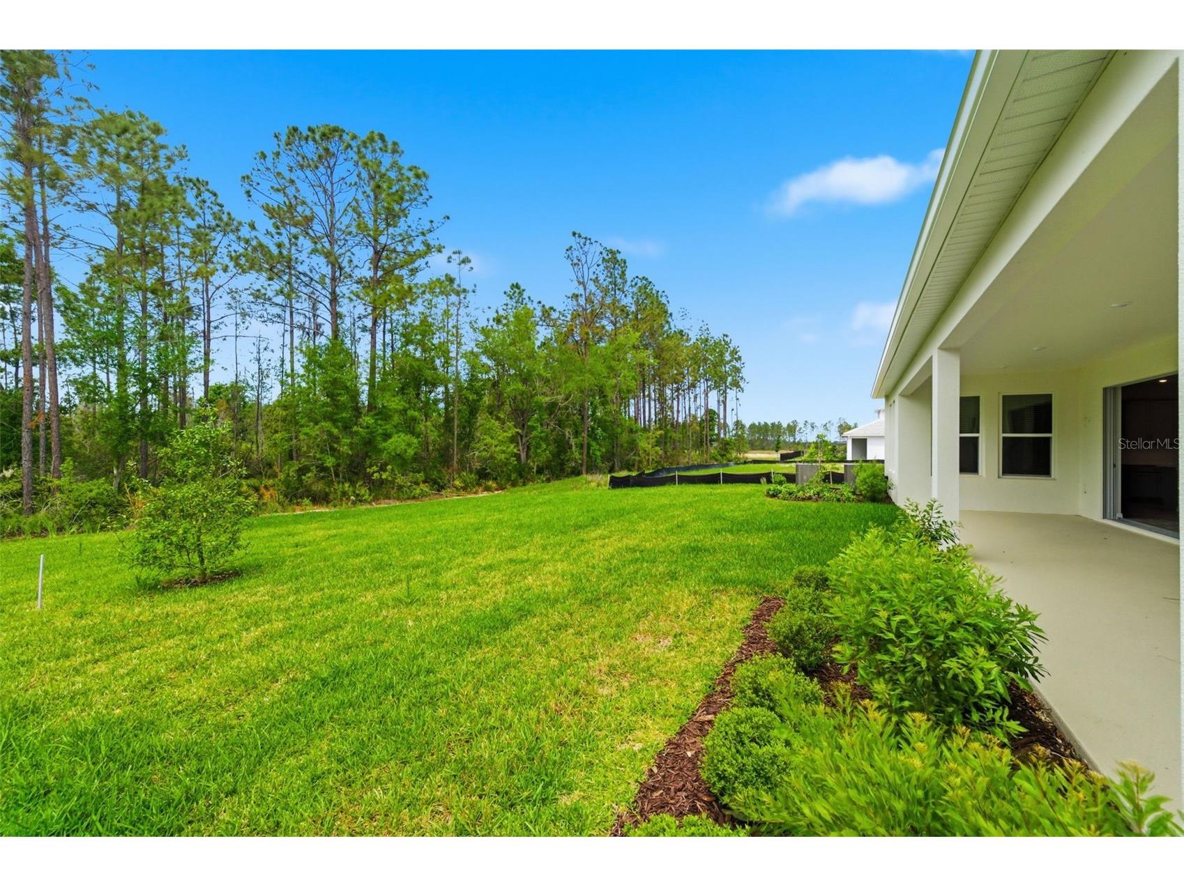 1645 Trailhead Lane Zephyrhills FL 33541 TB8493948 image77