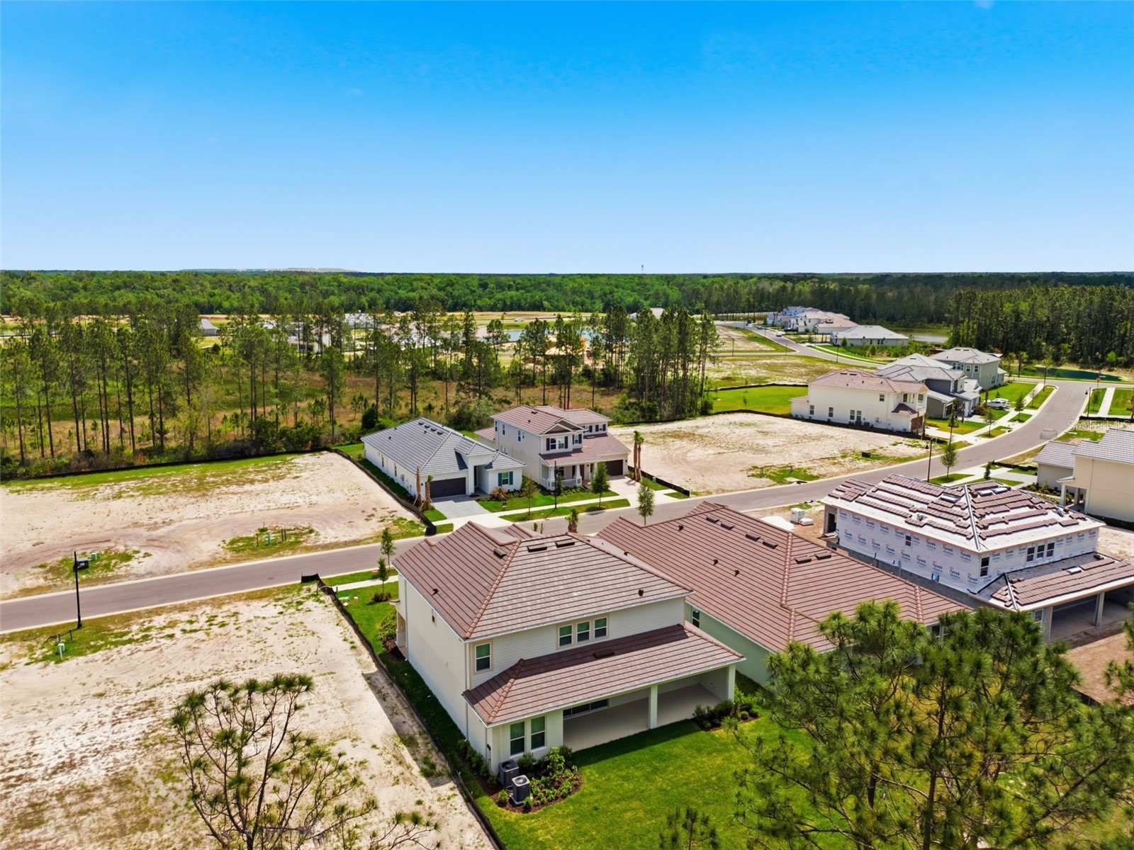1645 Trailhead Lane Zephyrhills FL 33541 TB8493948 image91