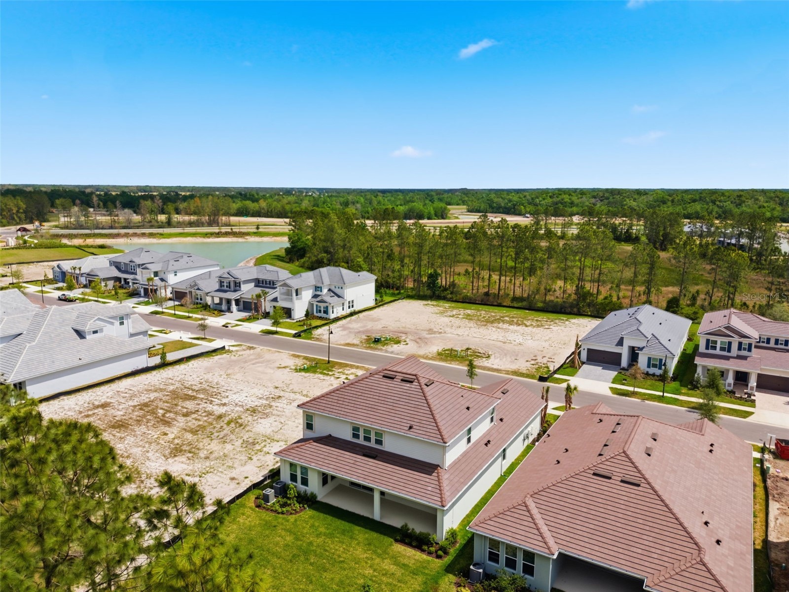 1645 Trailhead Lane Zephyrhills FL 33541 TB8493948 image92