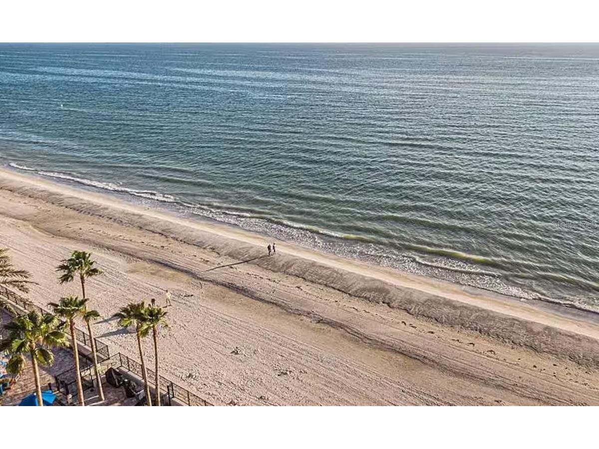 16450 Gulf Boulevard #662 North Redington Beach FL 33708 TB8362314 image31