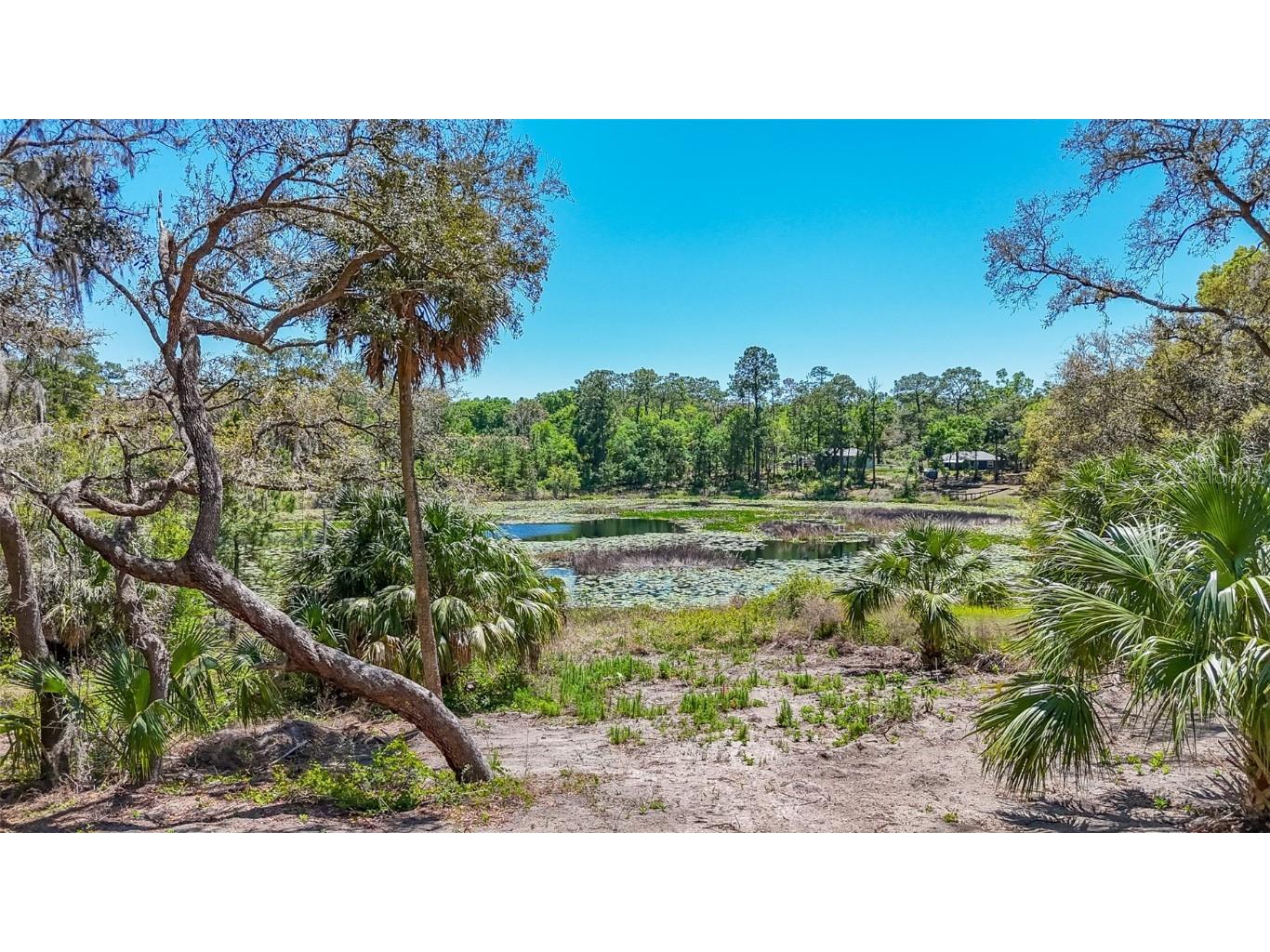 16450 SE 57th Place Ocklawaha FL 32179 OM693319 image28
