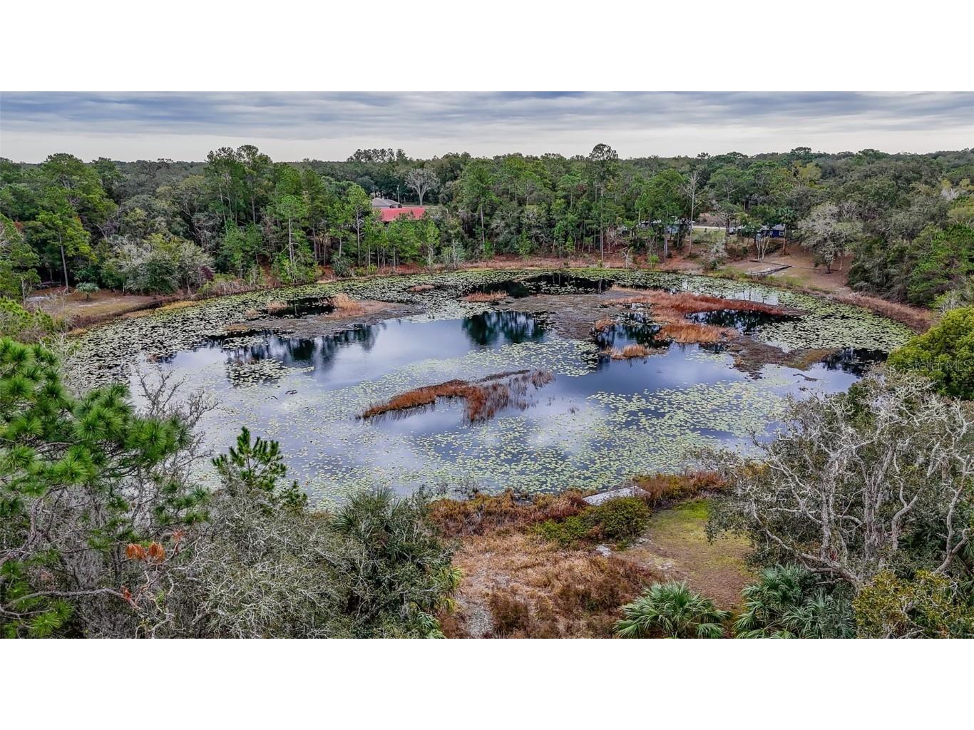 16450 SE 57th Place Ocklawaha FL 32179 OM693319 image29