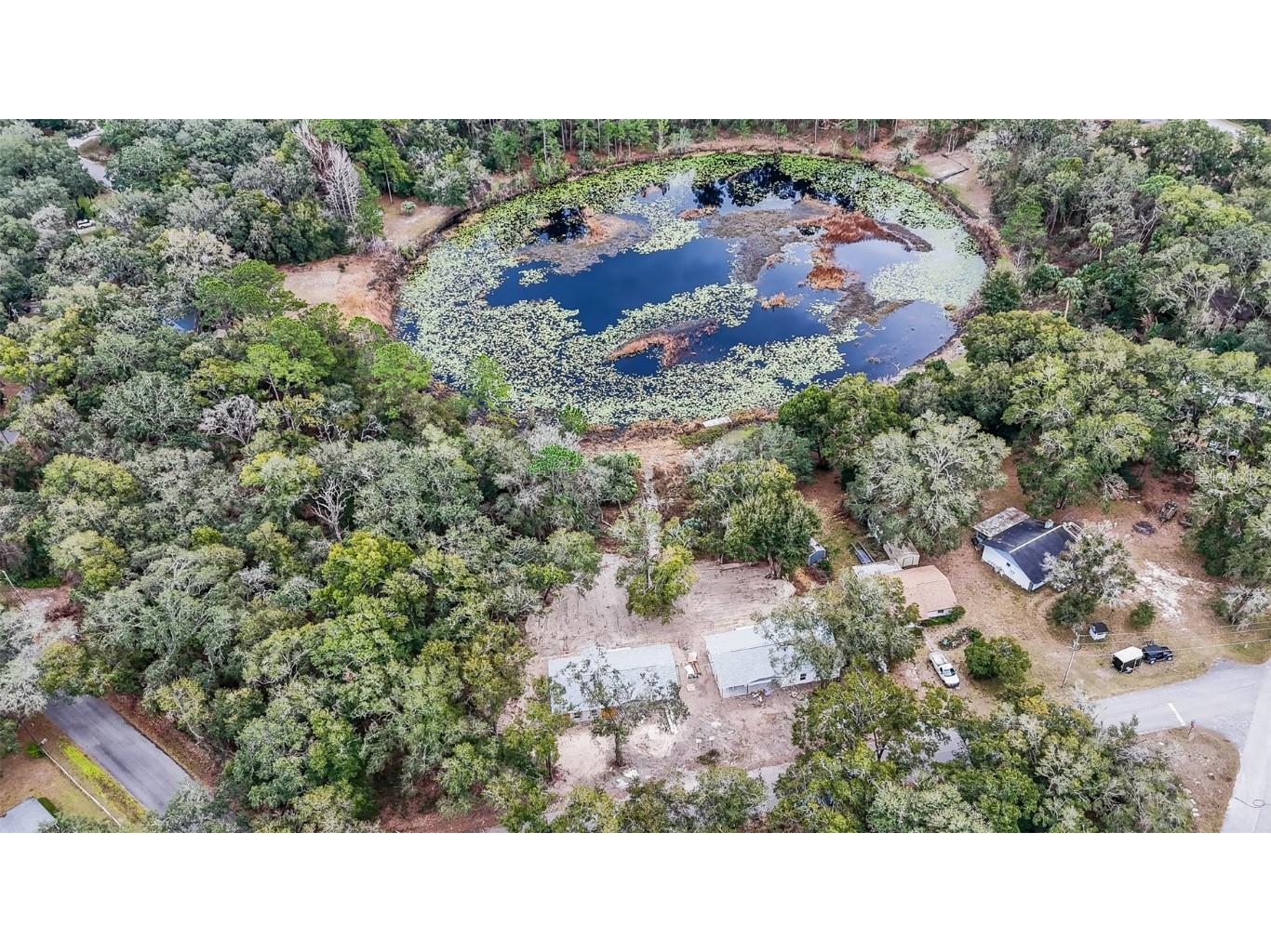 16450 SE 57th Place Ocklawaha FL 32179 OM693319 image31