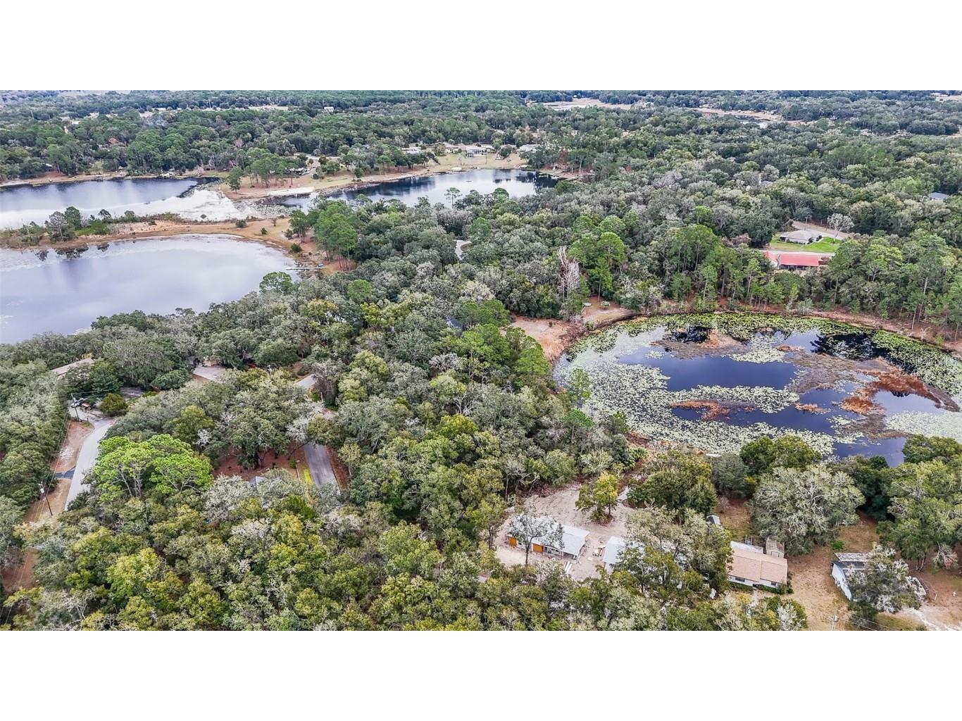 16450 SE 57th Place Ocklawaha FL 32179 OM693319 image32