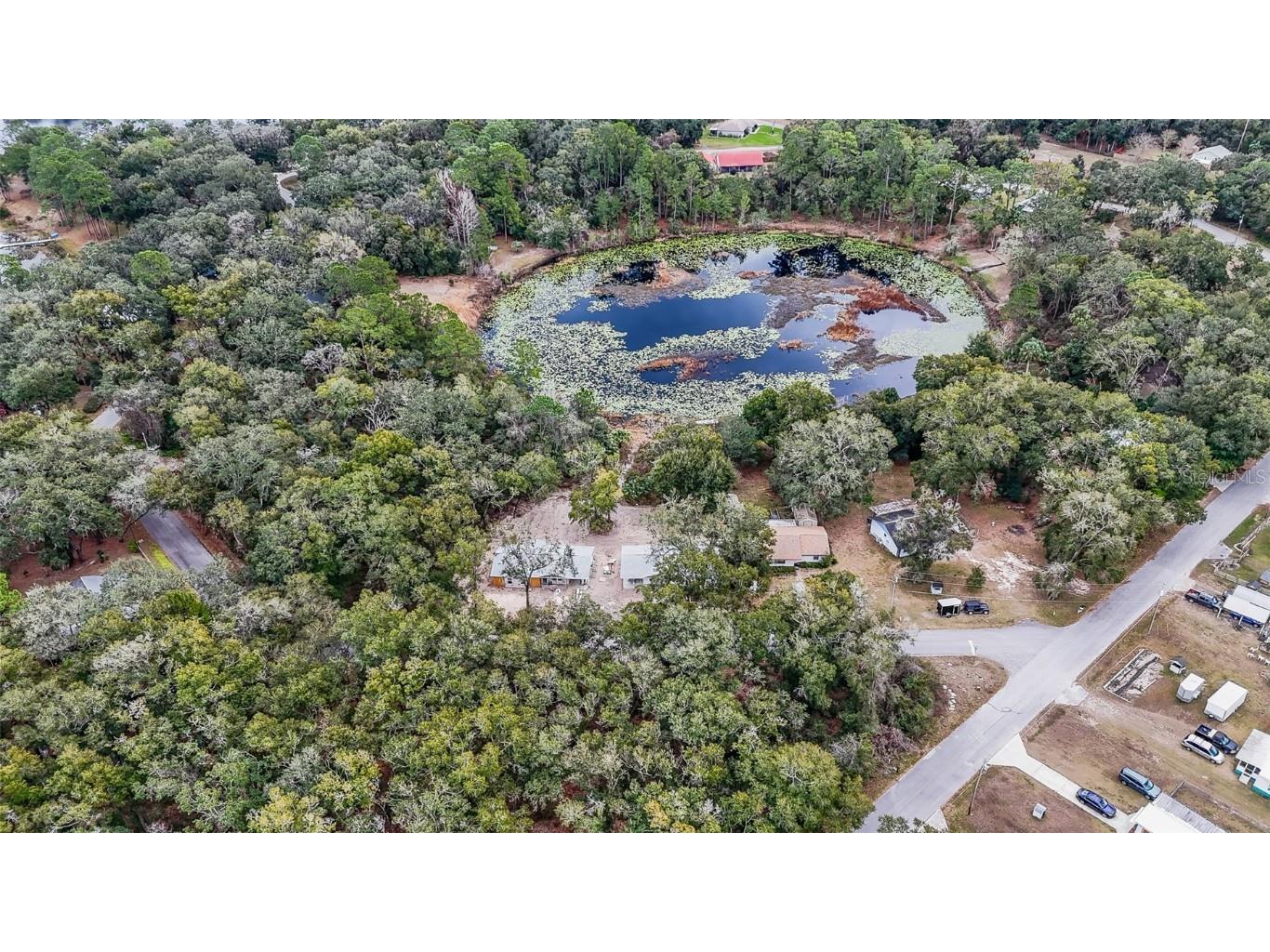 16450 SE 57th Place Ocklawaha FL 32179 OM693319 image33