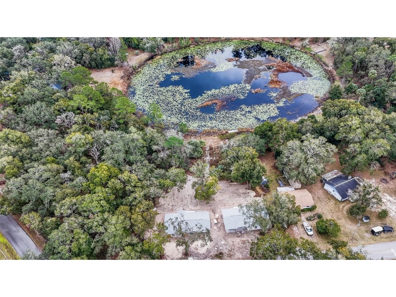 16450 SE 57th Place Ocklawaha FL 32179 OM693319 image34