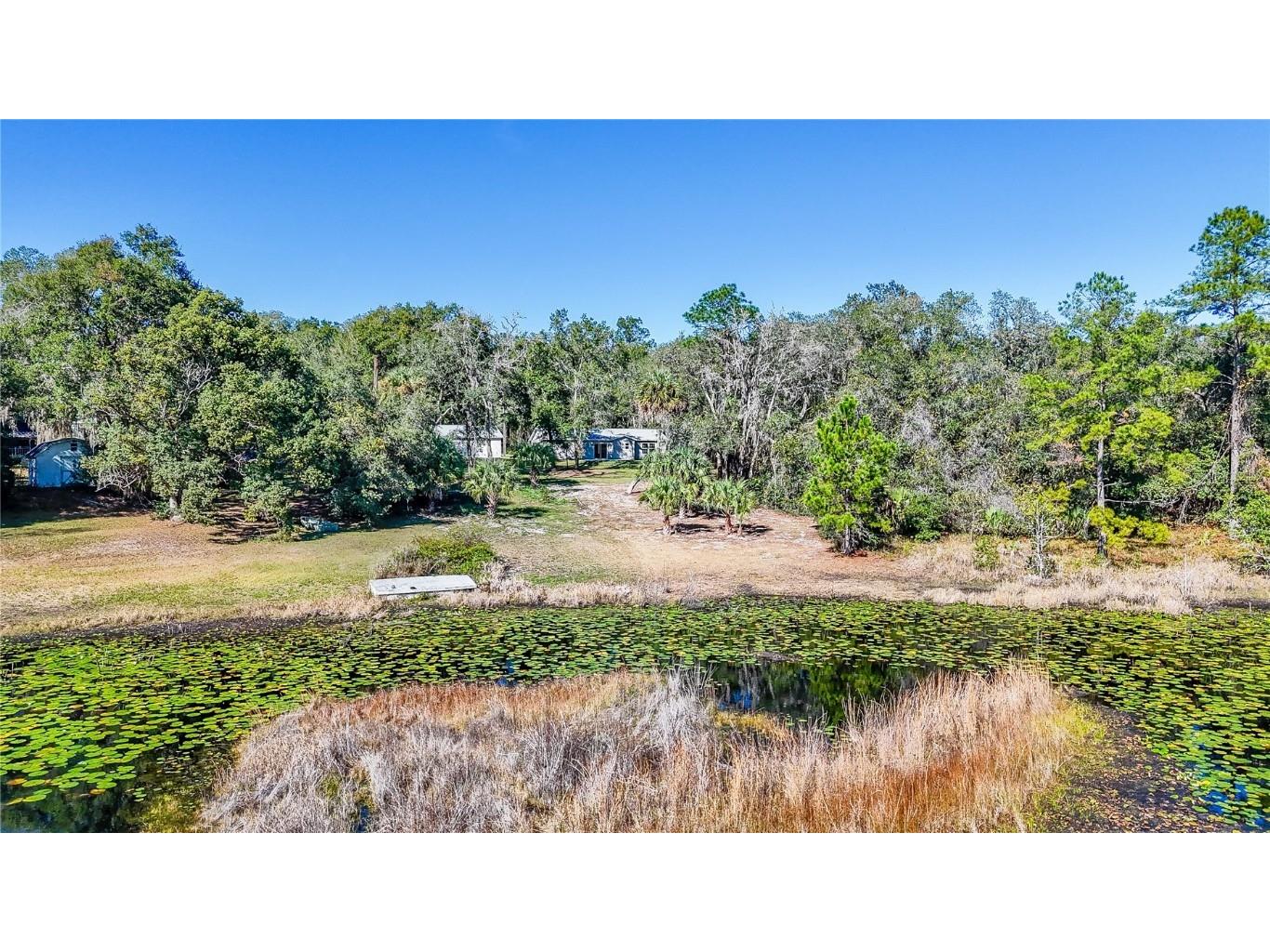16450 SE 57th Place Ocklawaha FL 32179 OM693319 image36