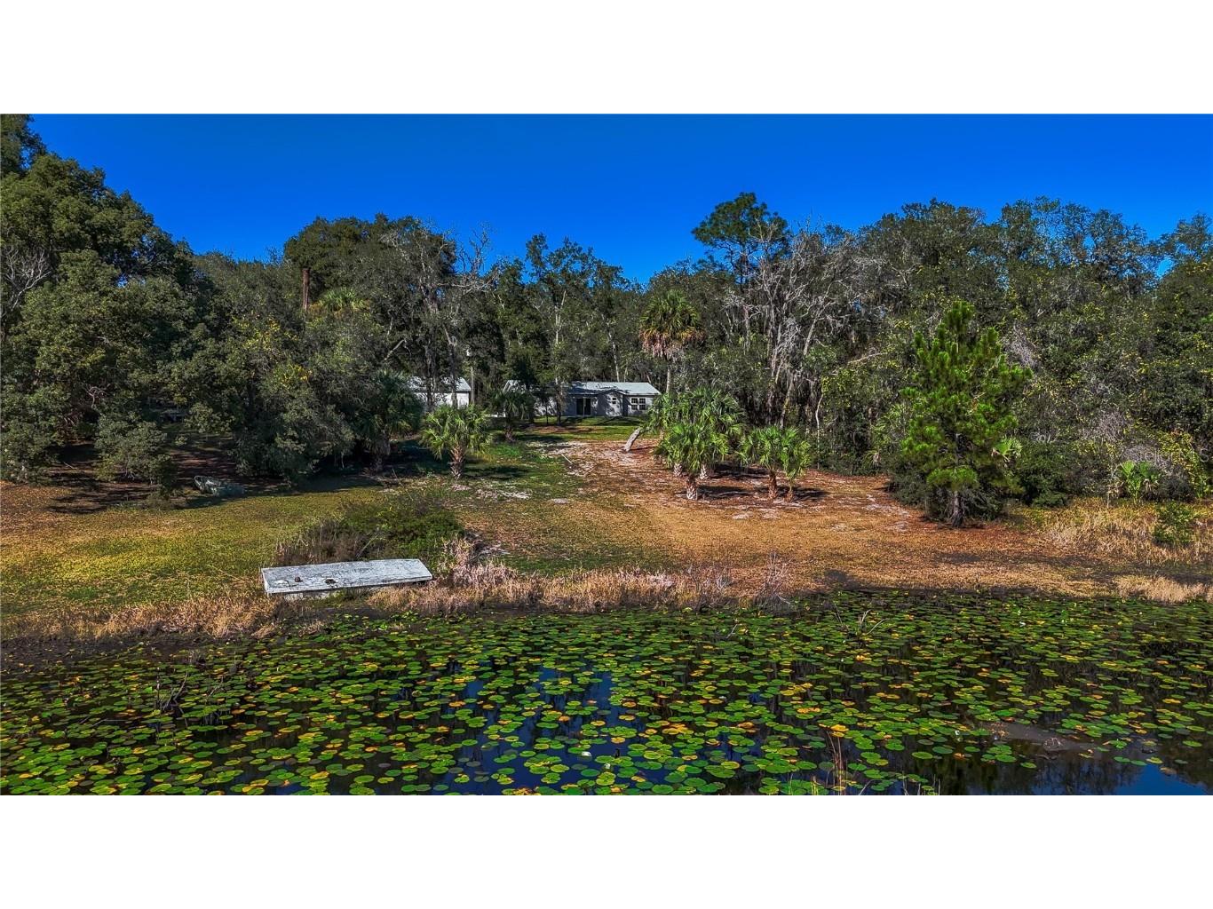 16450 SE 57th Place Ocklawaha FL 32179 OM693319 image37