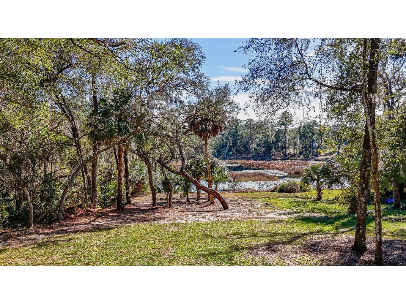 16450 SE 57th Place Ocklawaha FL 32179 OM693319 image45