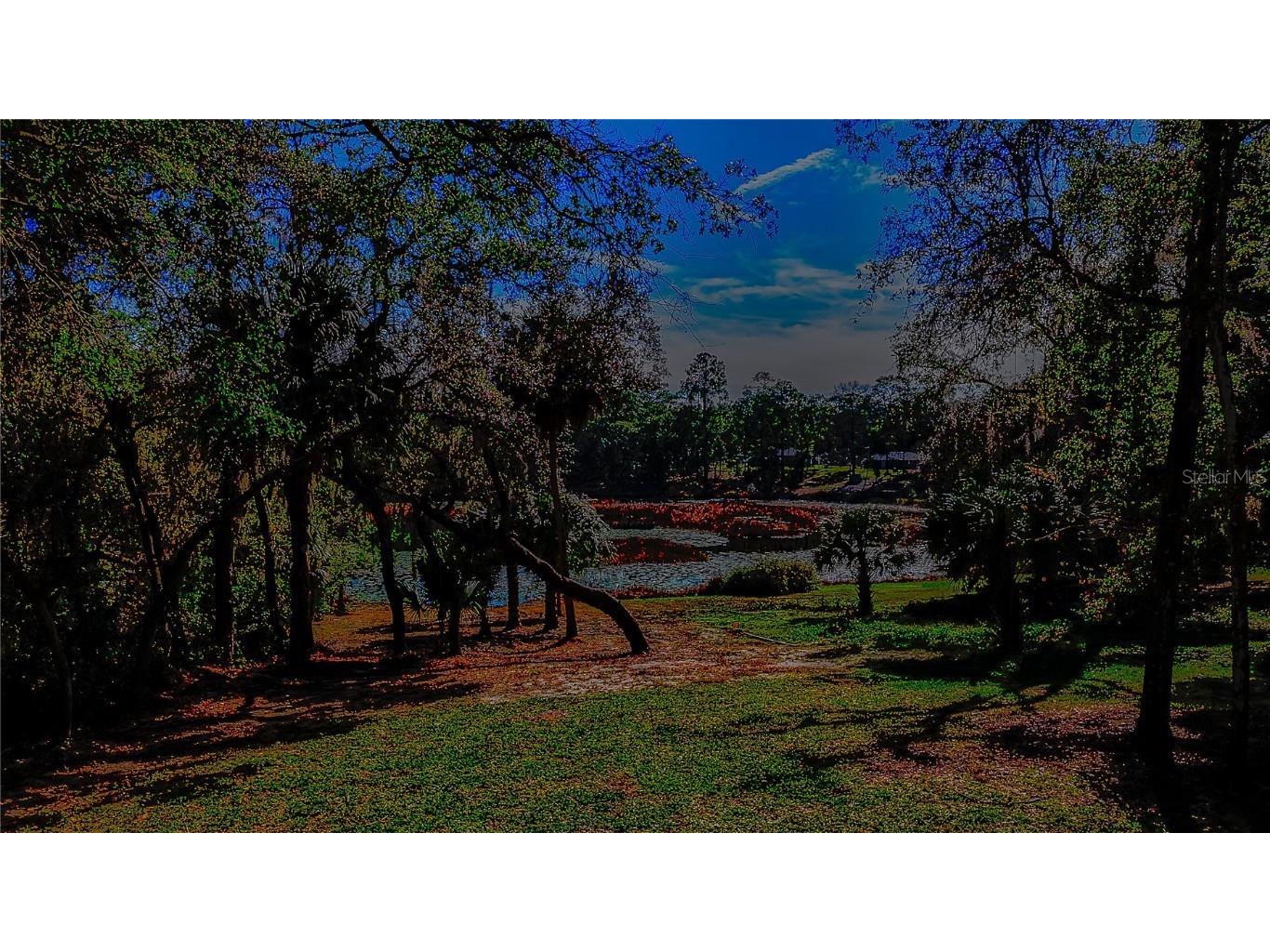 16450 SE 57th Place Ocklawaha FL 32179 OM693319 image46