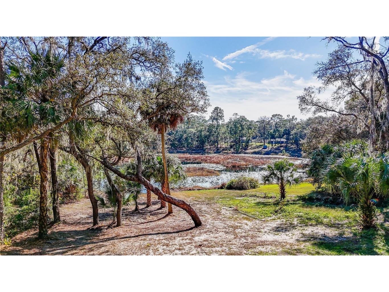 16450 SE 57th Place Ocklawaha FL 32179 OM693319 image47