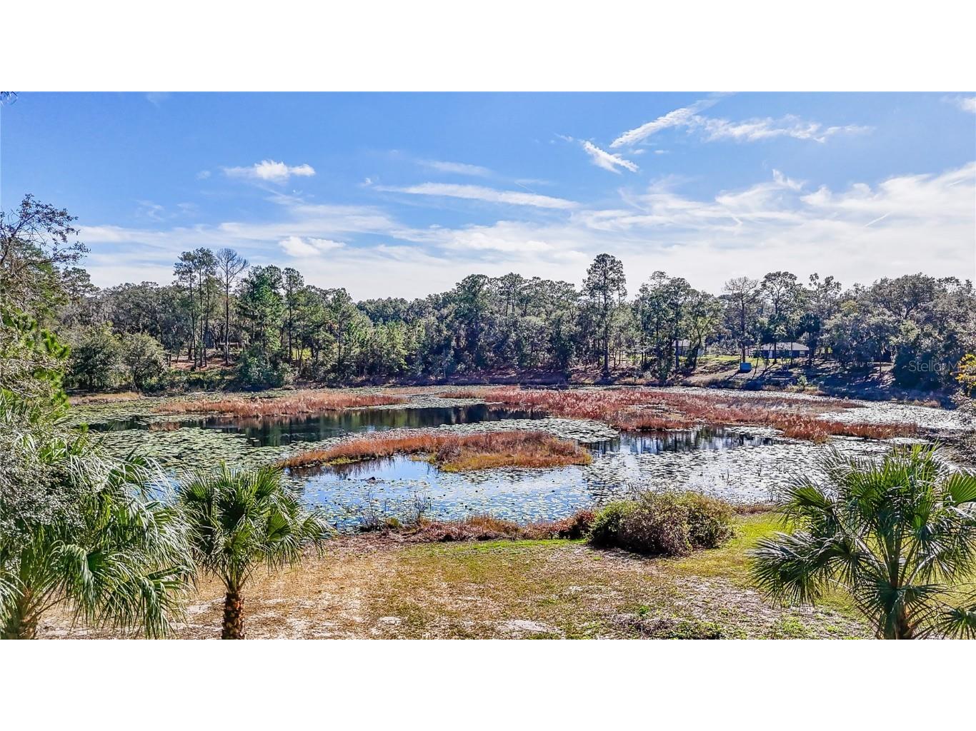 16450 SE 57th Place Ocklawaha FL 32179 OM693319 image48